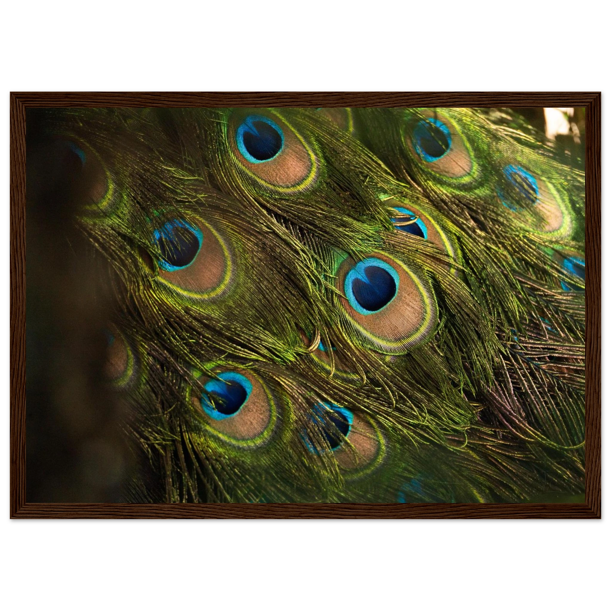 46c6fa2c-c3e7-4692-9d08-2e95c9ff80ce