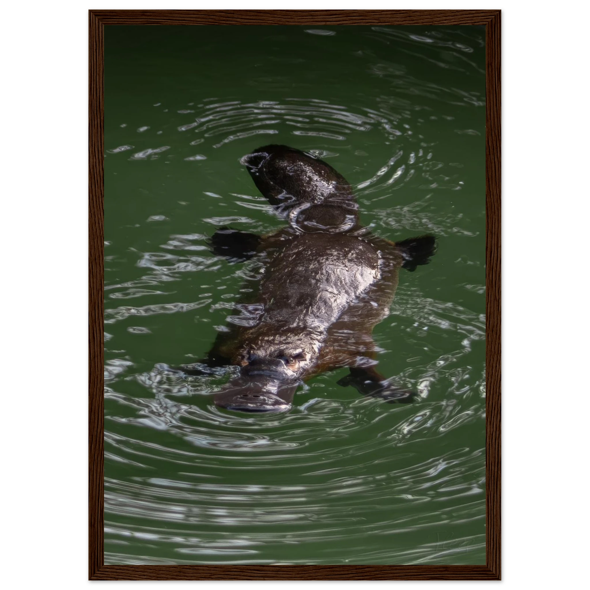 46e9faeb-31b5-4829-bd91-b6e53b7bcf9c