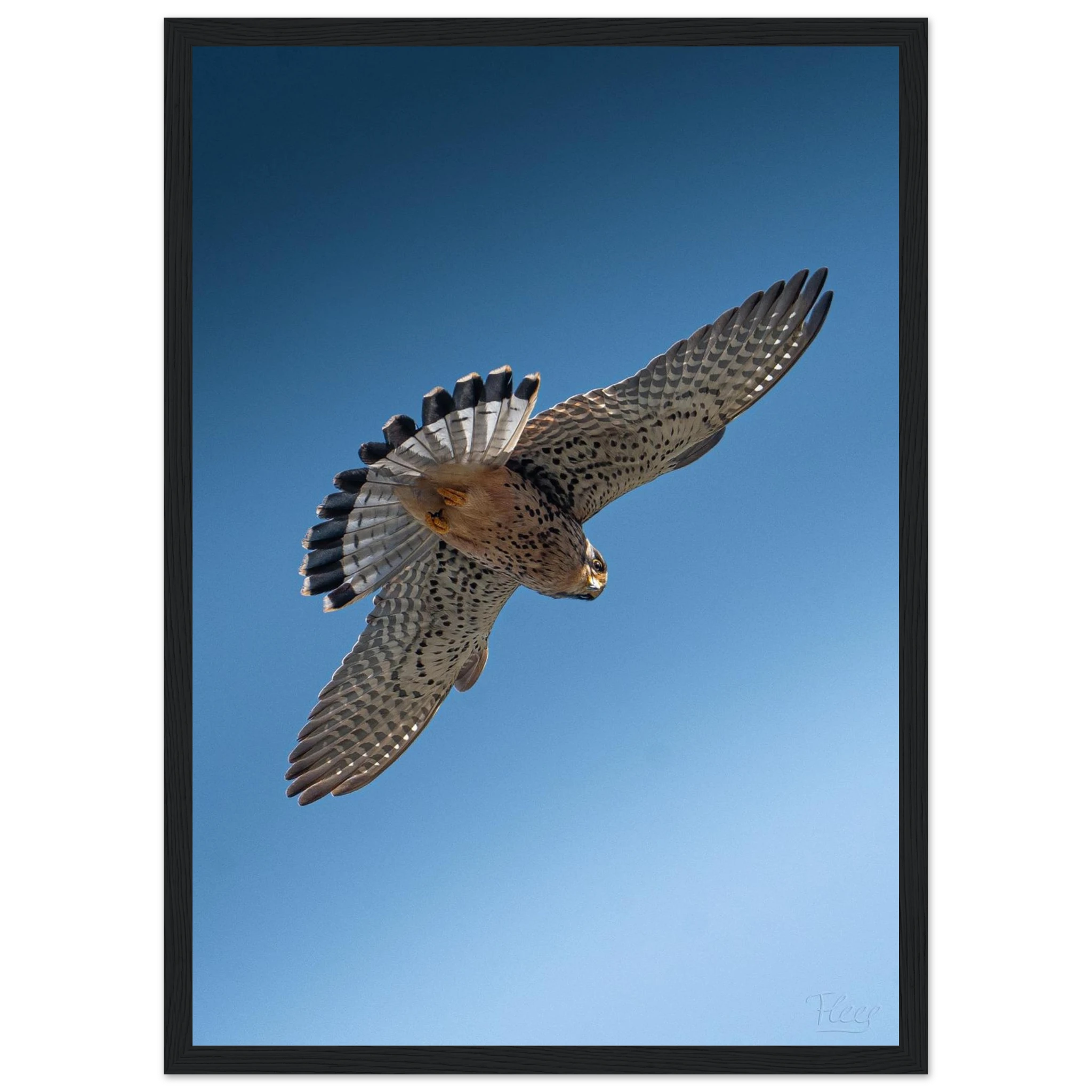 471caff6-bf65-40e4-89f0-1b527a7ee2bf