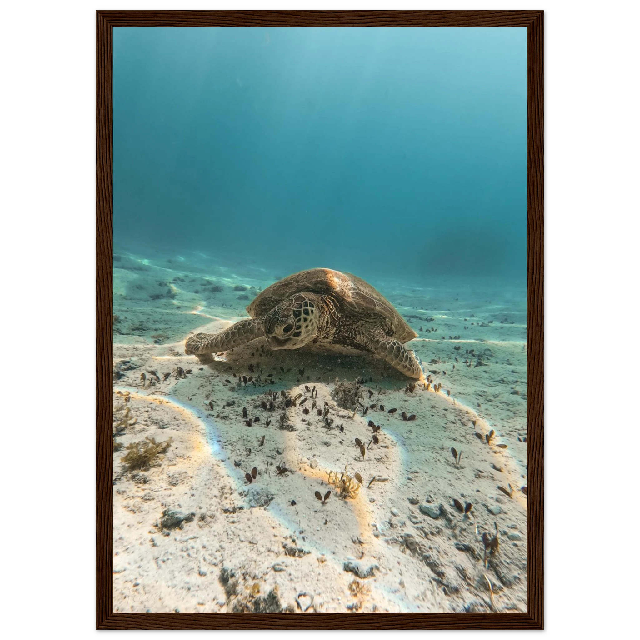 4840411a-ed19-4588-a2df-4c0241b564b5