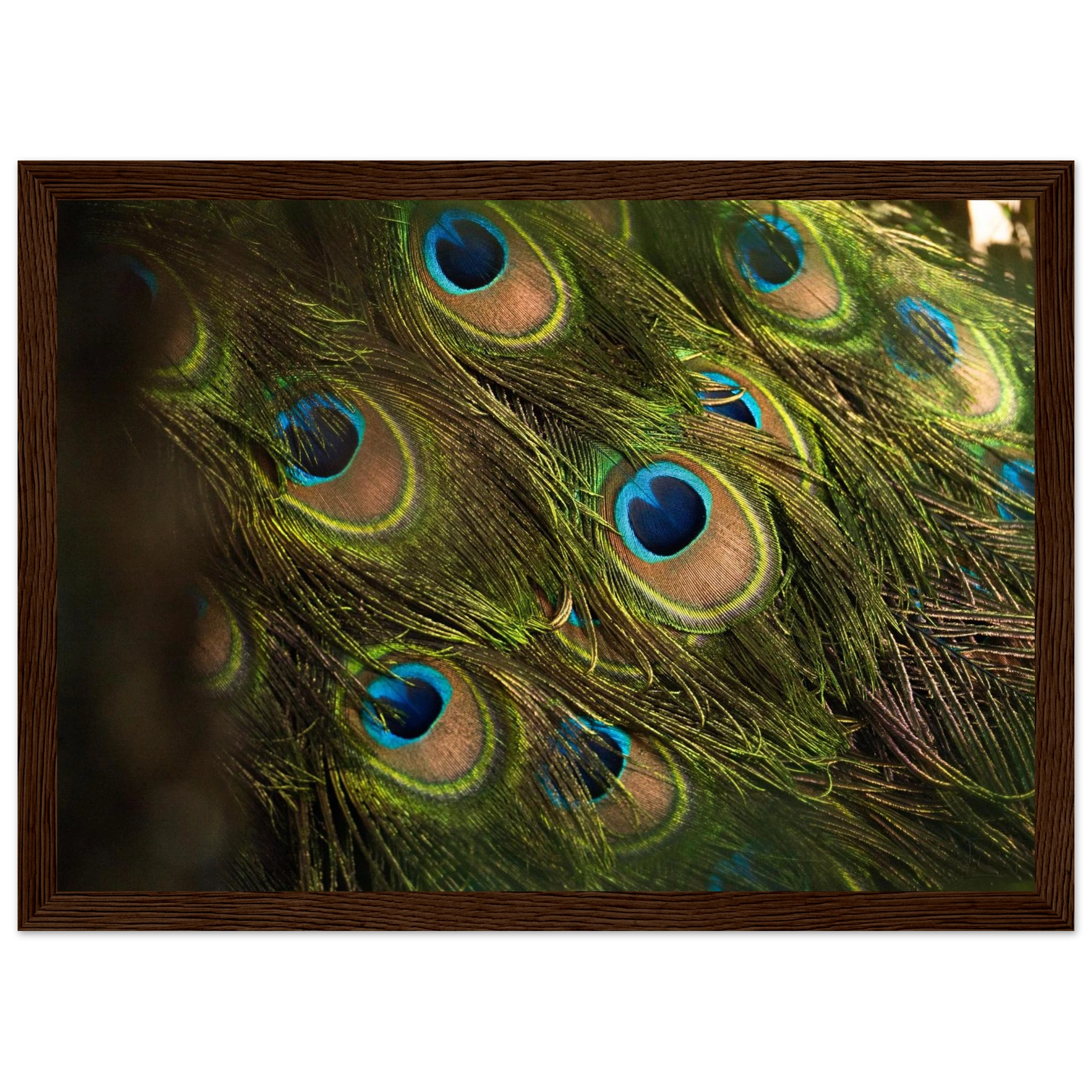 48720e0e-f058-4aa9-8919-d1b0fa961ed4