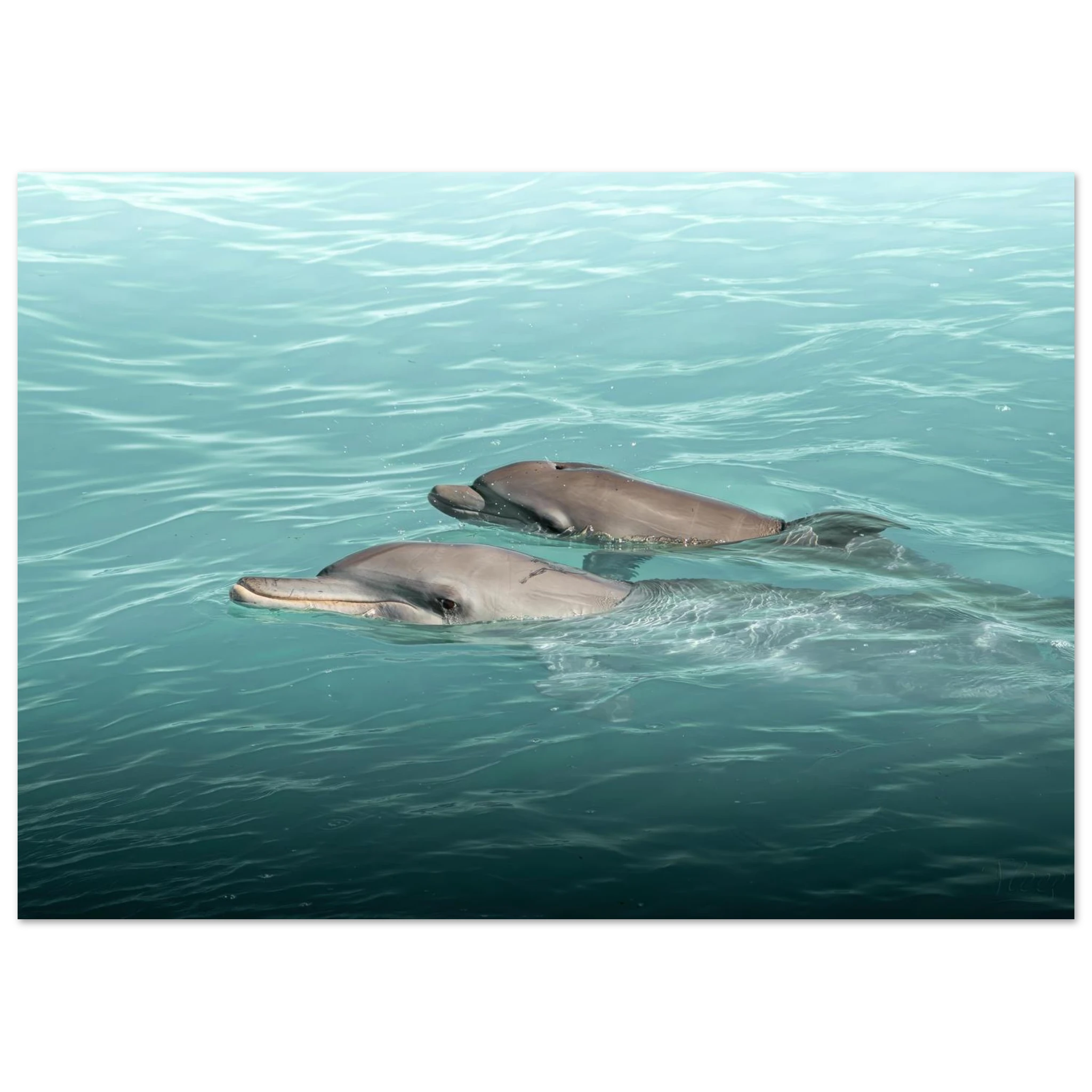 4874b1c6-376a-4193-95cf-88719b266a22