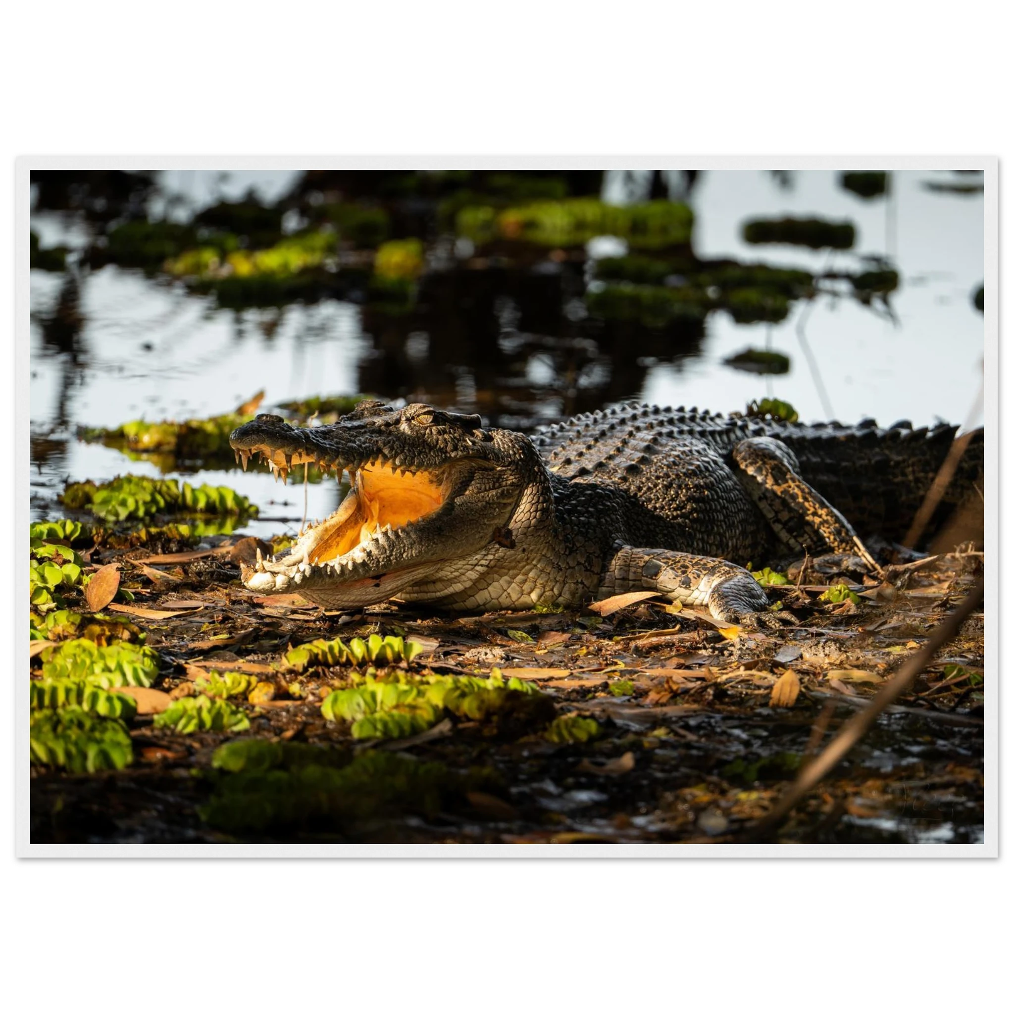 4875b904-0716-4011-a701-88a935b0edb4