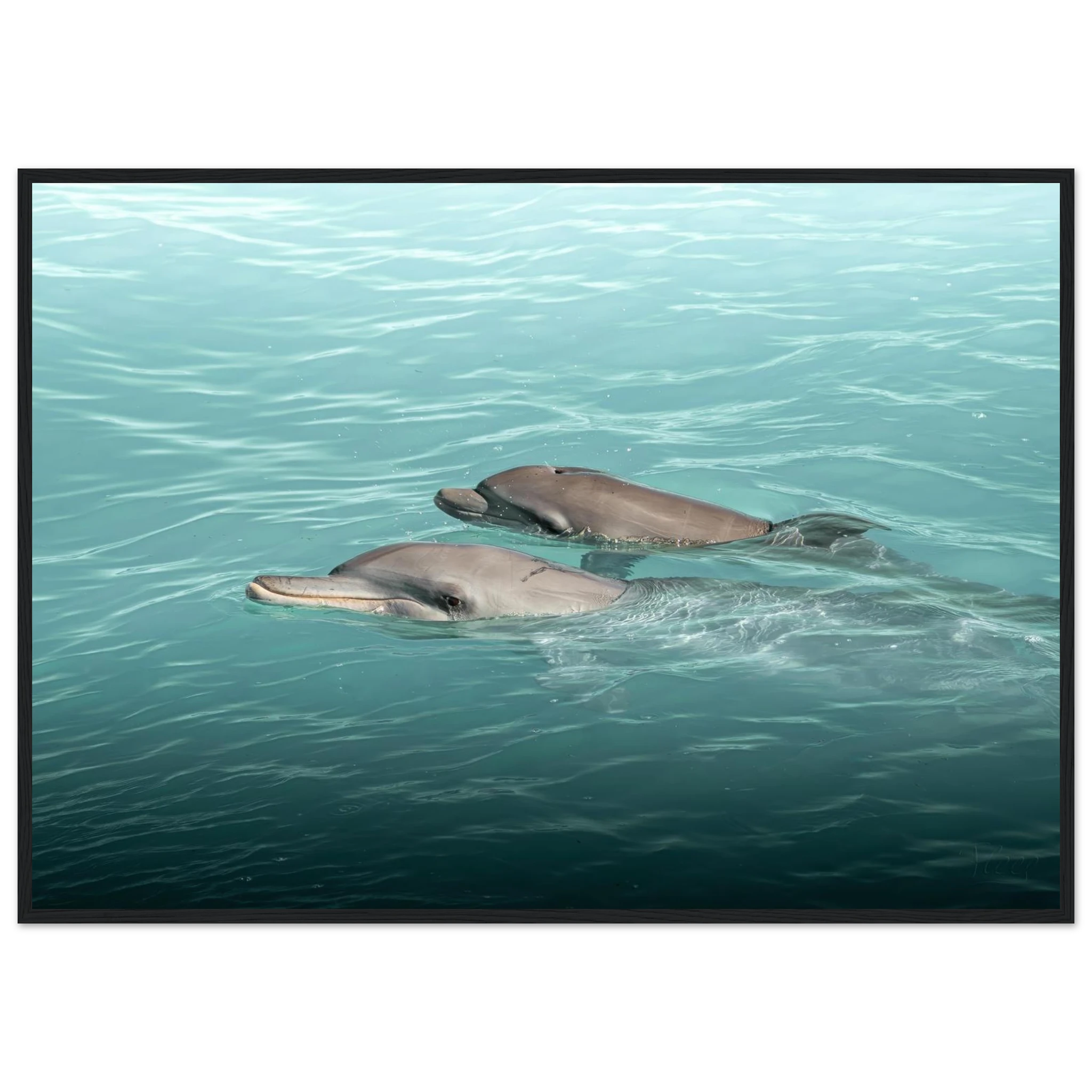 4892a8d6-09ad-43c2-98d7-01998cb6f042