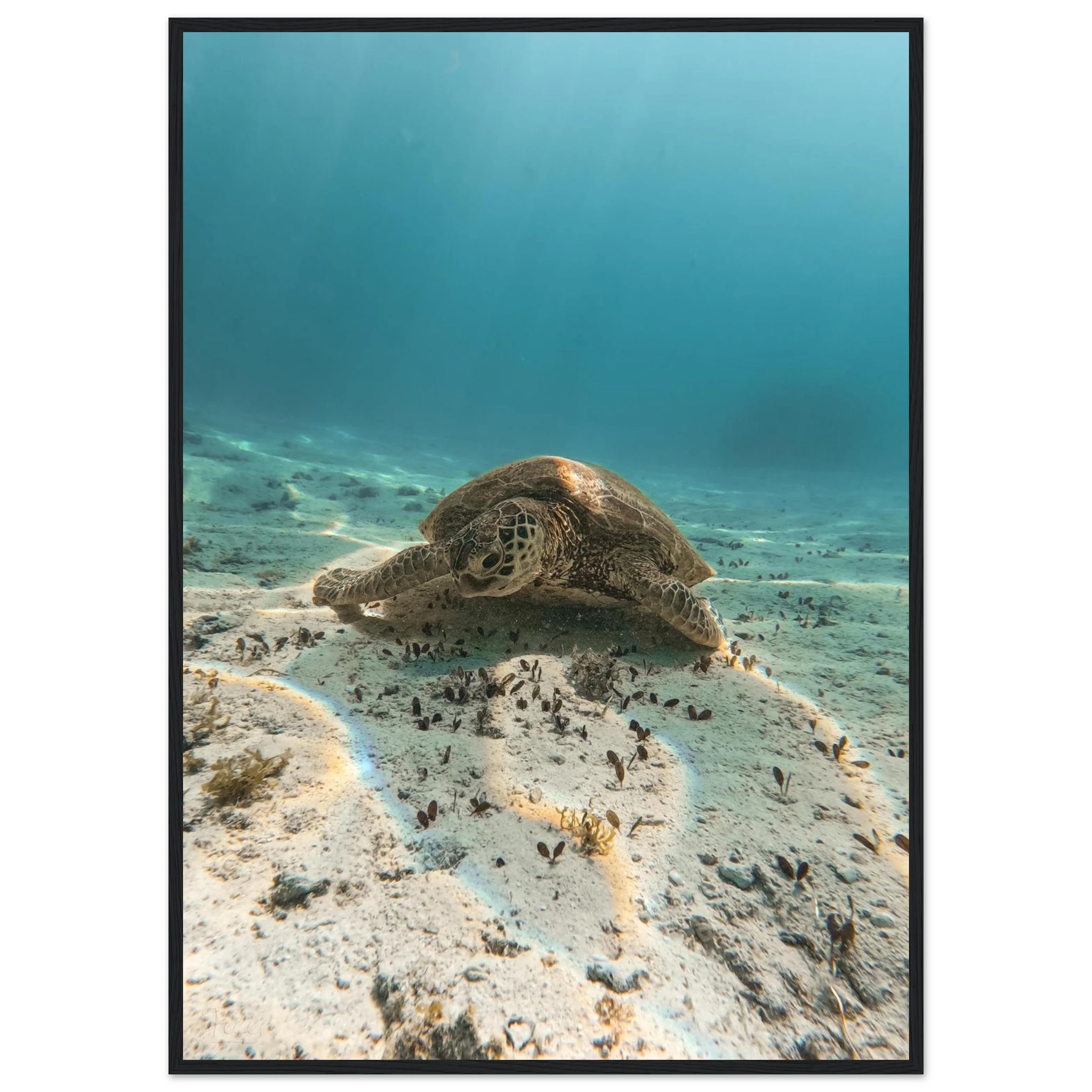 48a5672a-cc87-42c2-8f91-43b6ef364de6