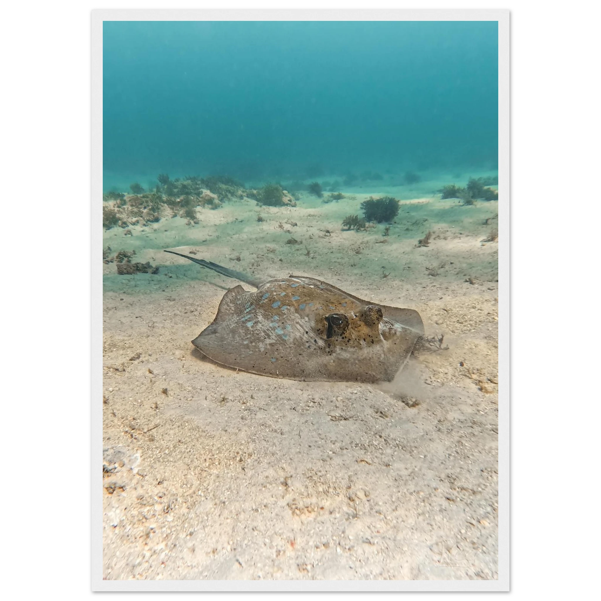 492fed37-fabd-4f9f-a280-39b098a41b33