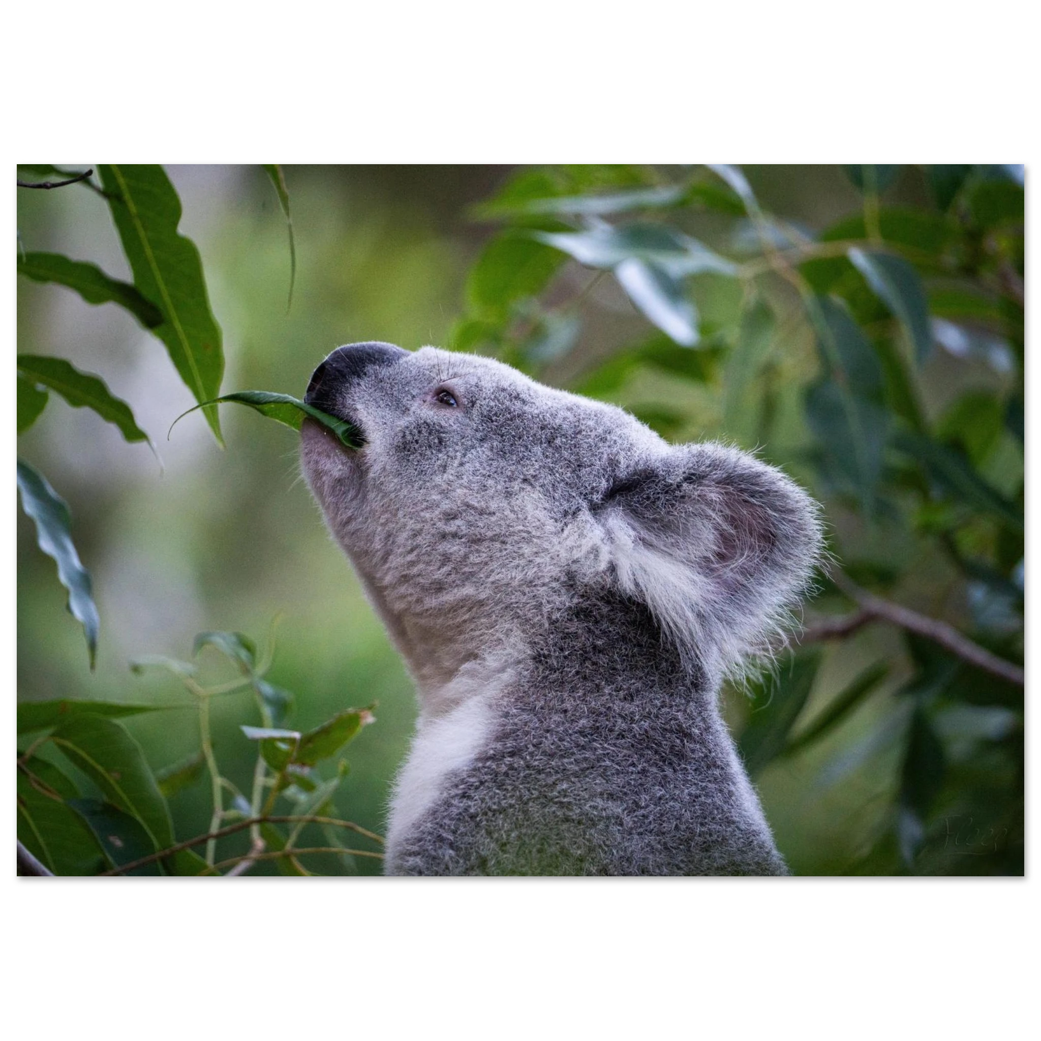 494e15c9-fc96-4d67-a534-35e32b616bd6