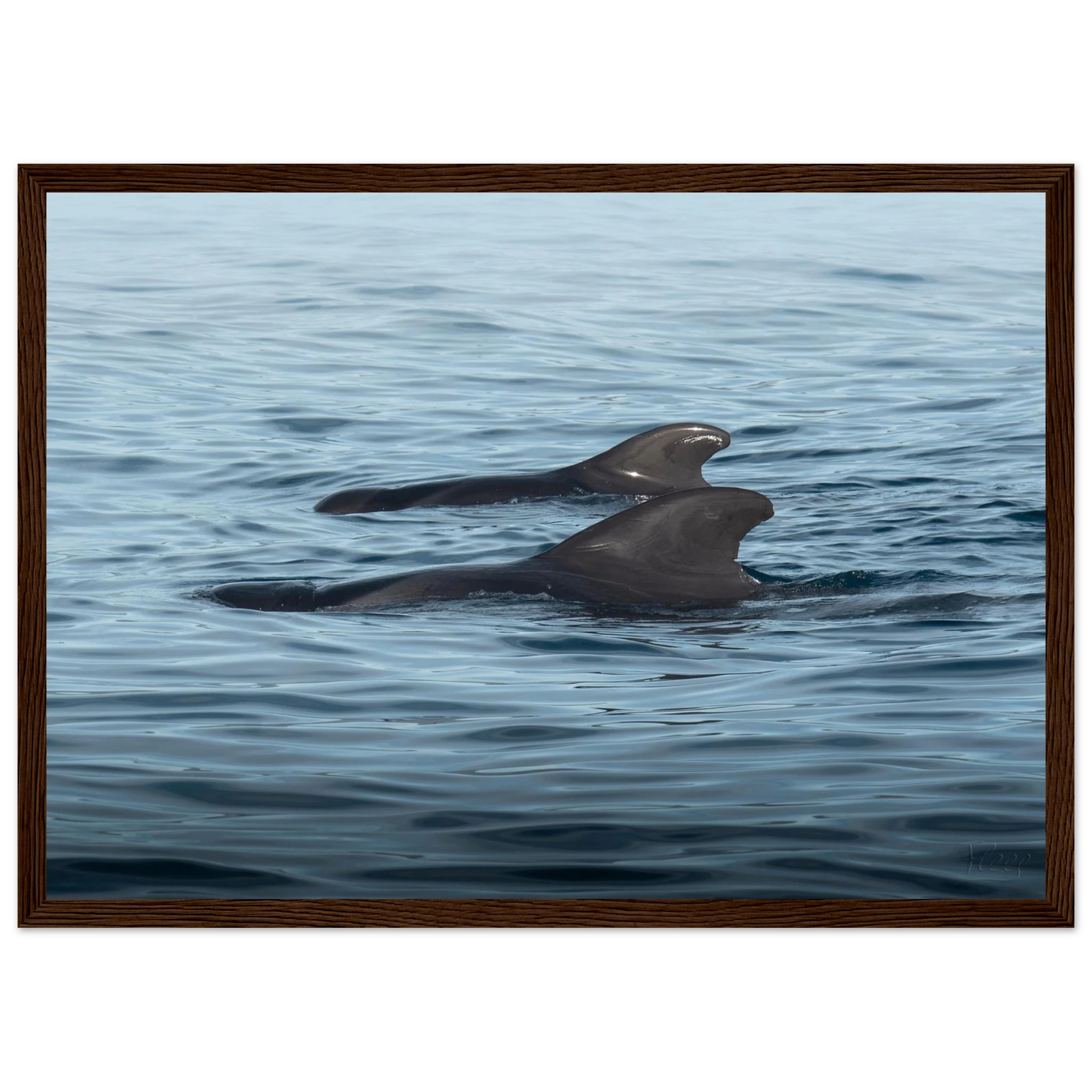 49a0ef84-f7fa-4463-9d56-a55f89066fa2