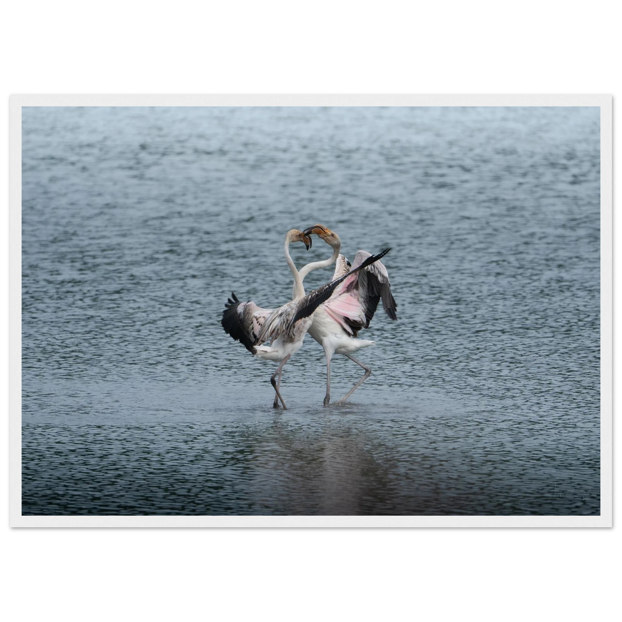 49fc15b6-4ca9-4d48-ac28-2b5d4a4f61a7