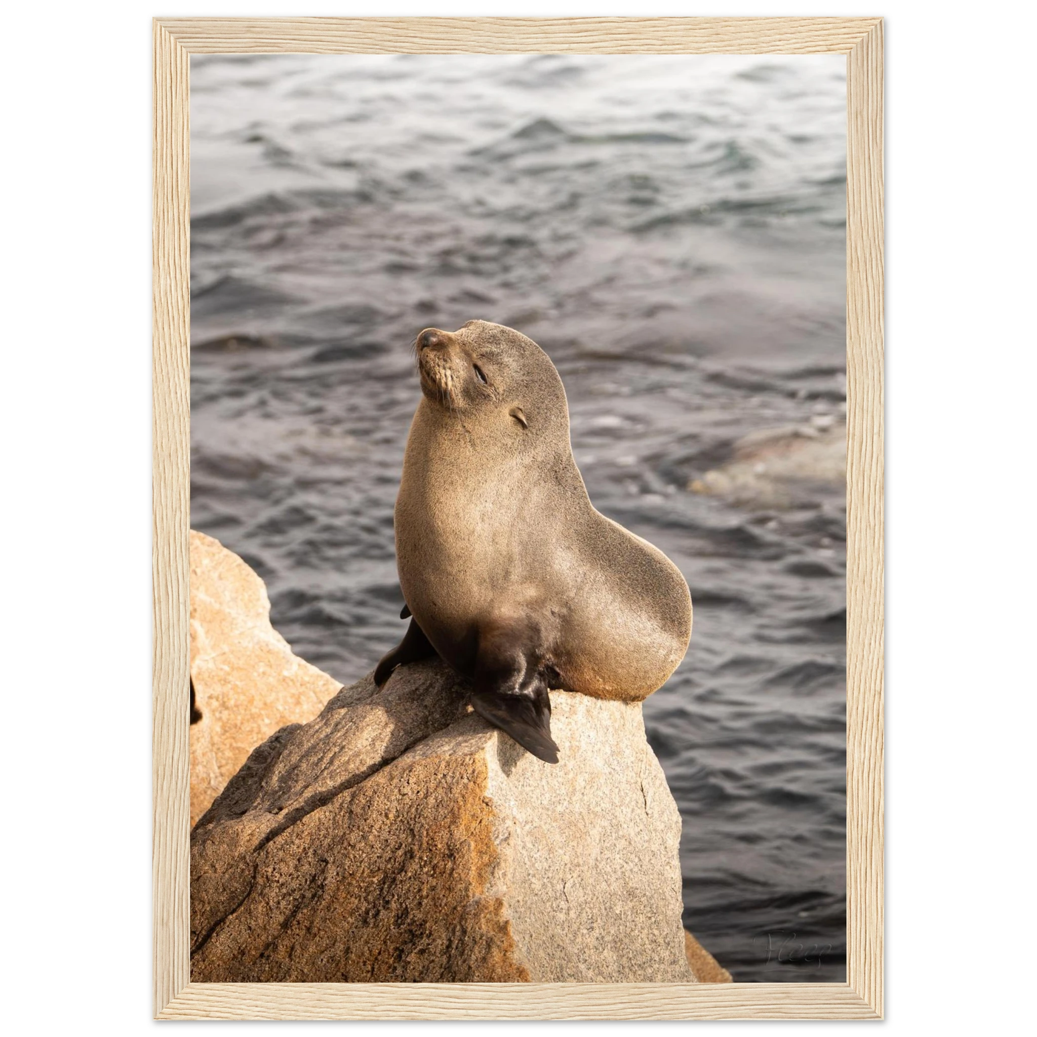 4a698a8c-331c-4985-9d70-2cd6df27f045