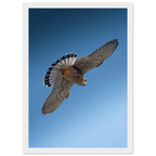 4a786891-28e2-4f45-9d0a-5eb5109403b3