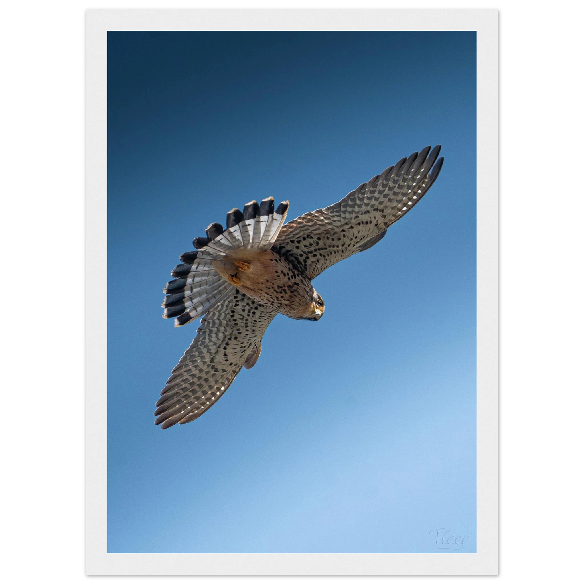 4a786891-28e2-4f45-9d0a-5eb5109403b3