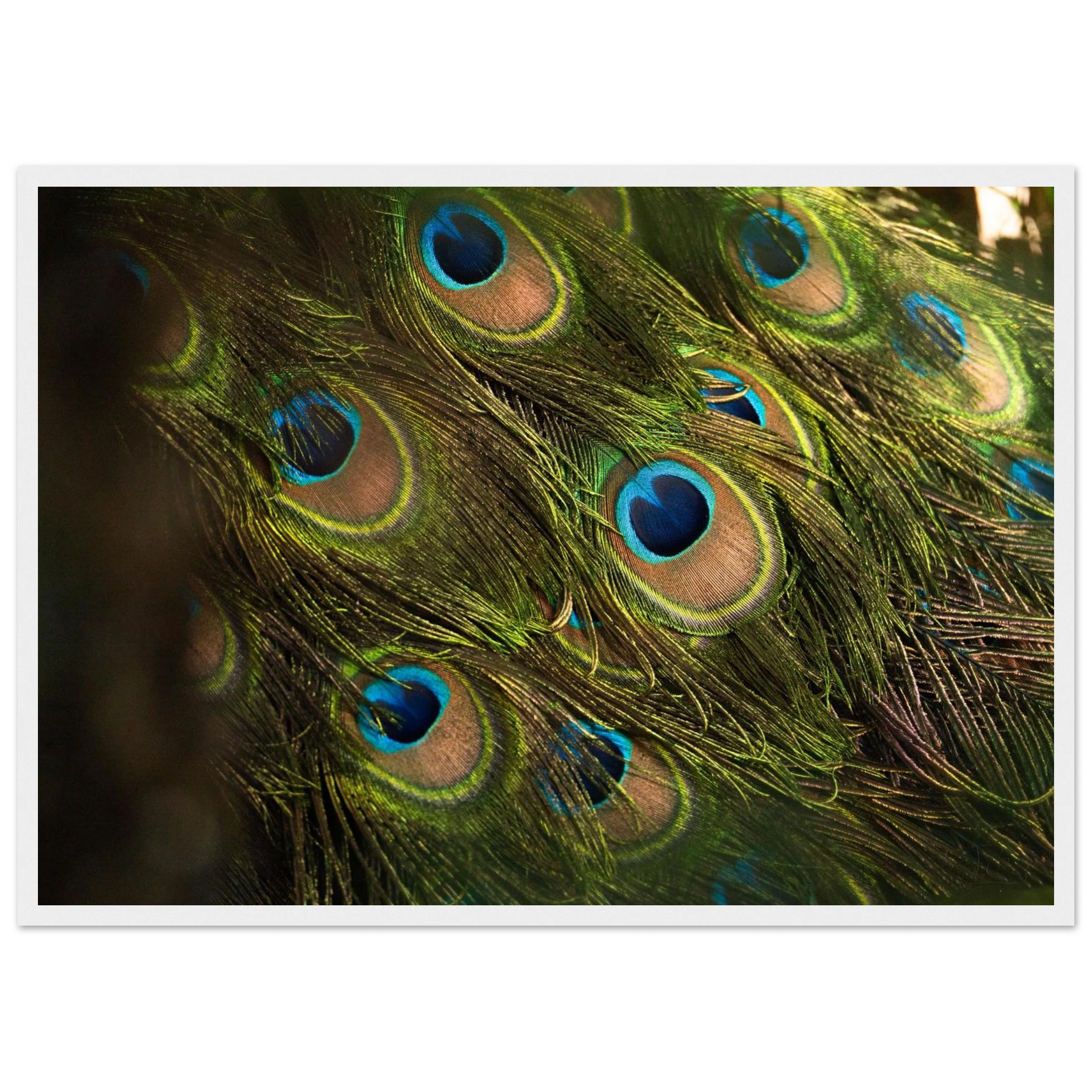 4a87f45e-f6b5-4a4d-b4f7-15098a4af9c3