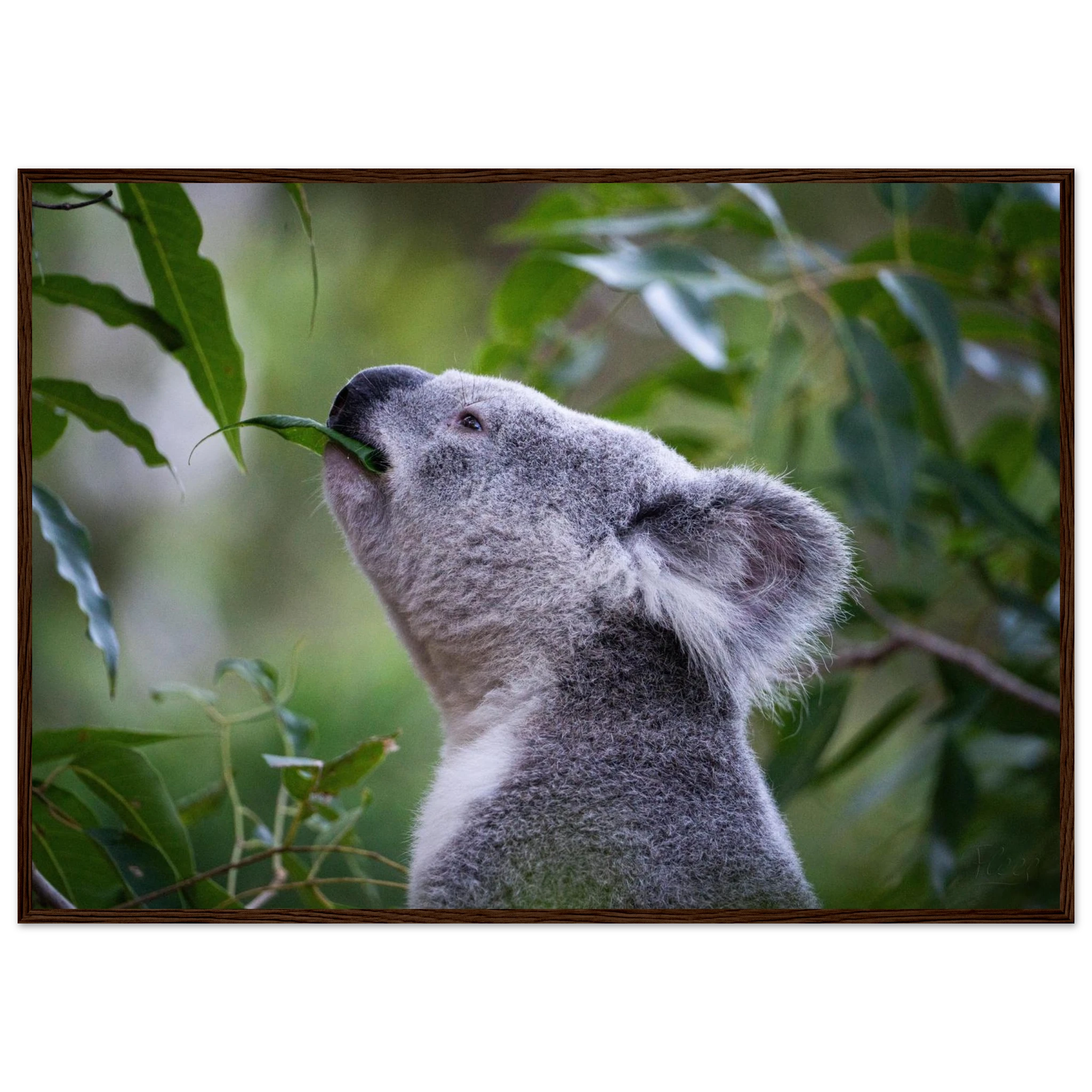 4ab0f8ae-fa64-4d36-9675-d72e128136e5