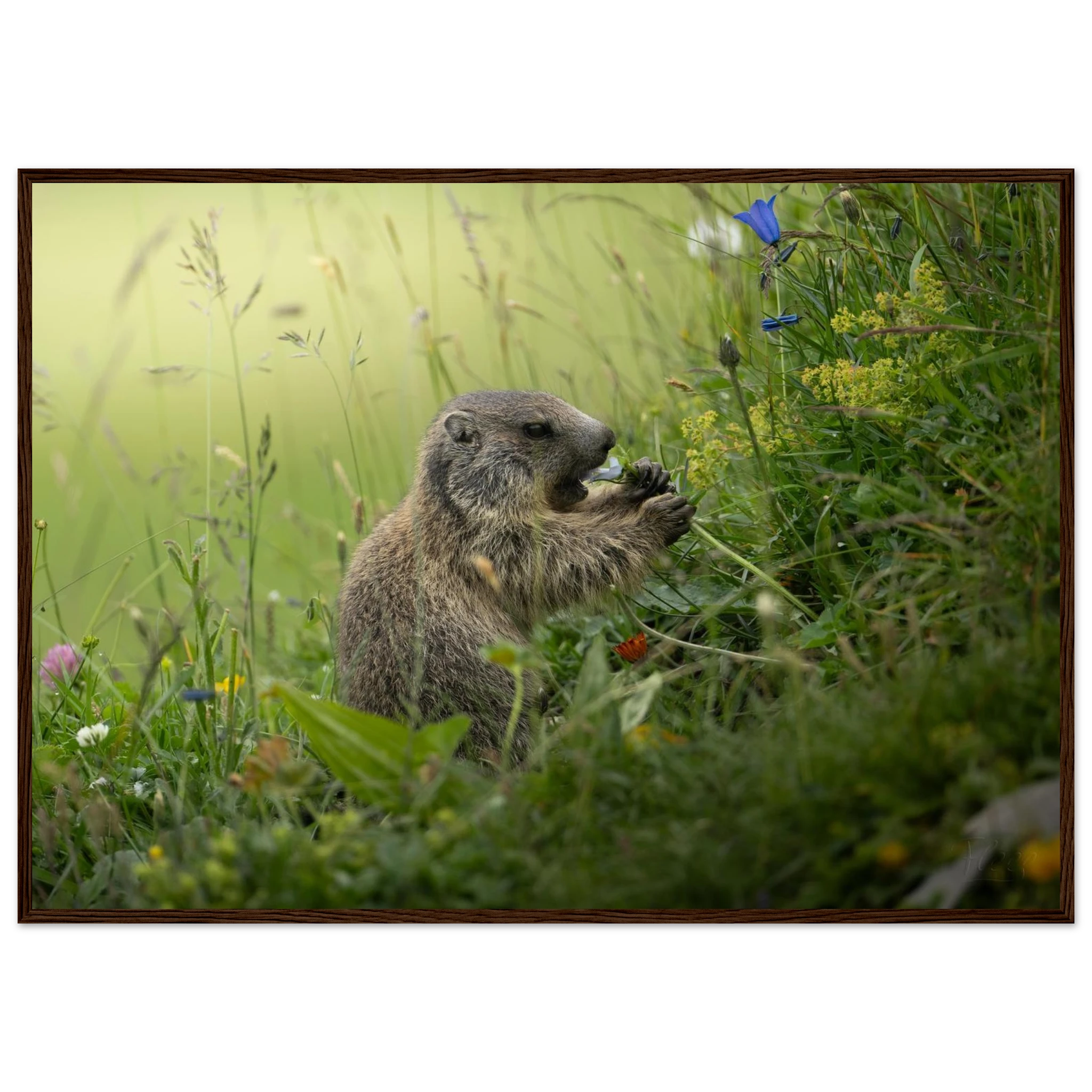 4af13300-a45b-4d87-8569-eb0762145710