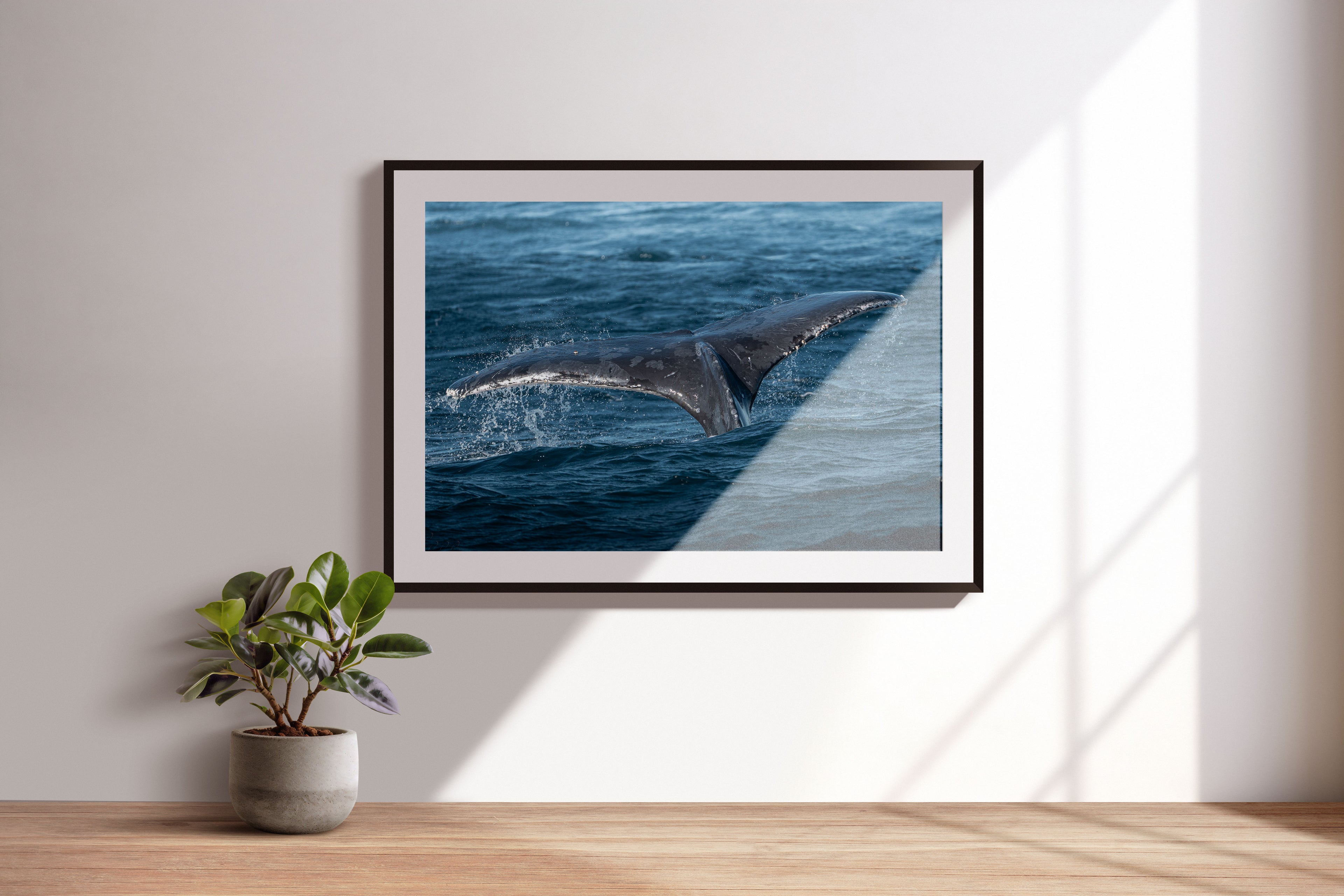 4b113aa5-44e5-4356-a6b9-ed8af4b23f77