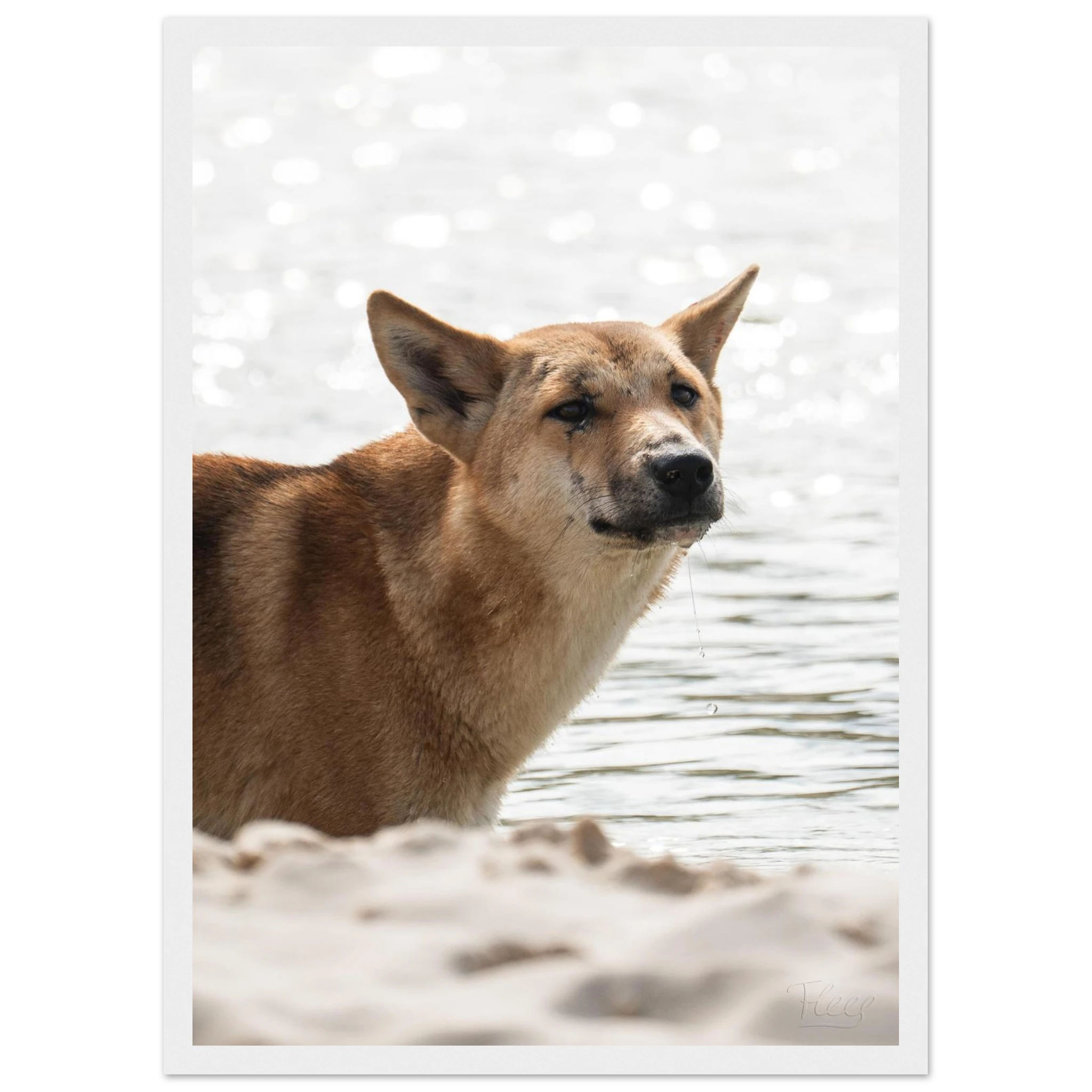 4b301ab3-31ad-4bf4-9ea3-3aefa77e2896