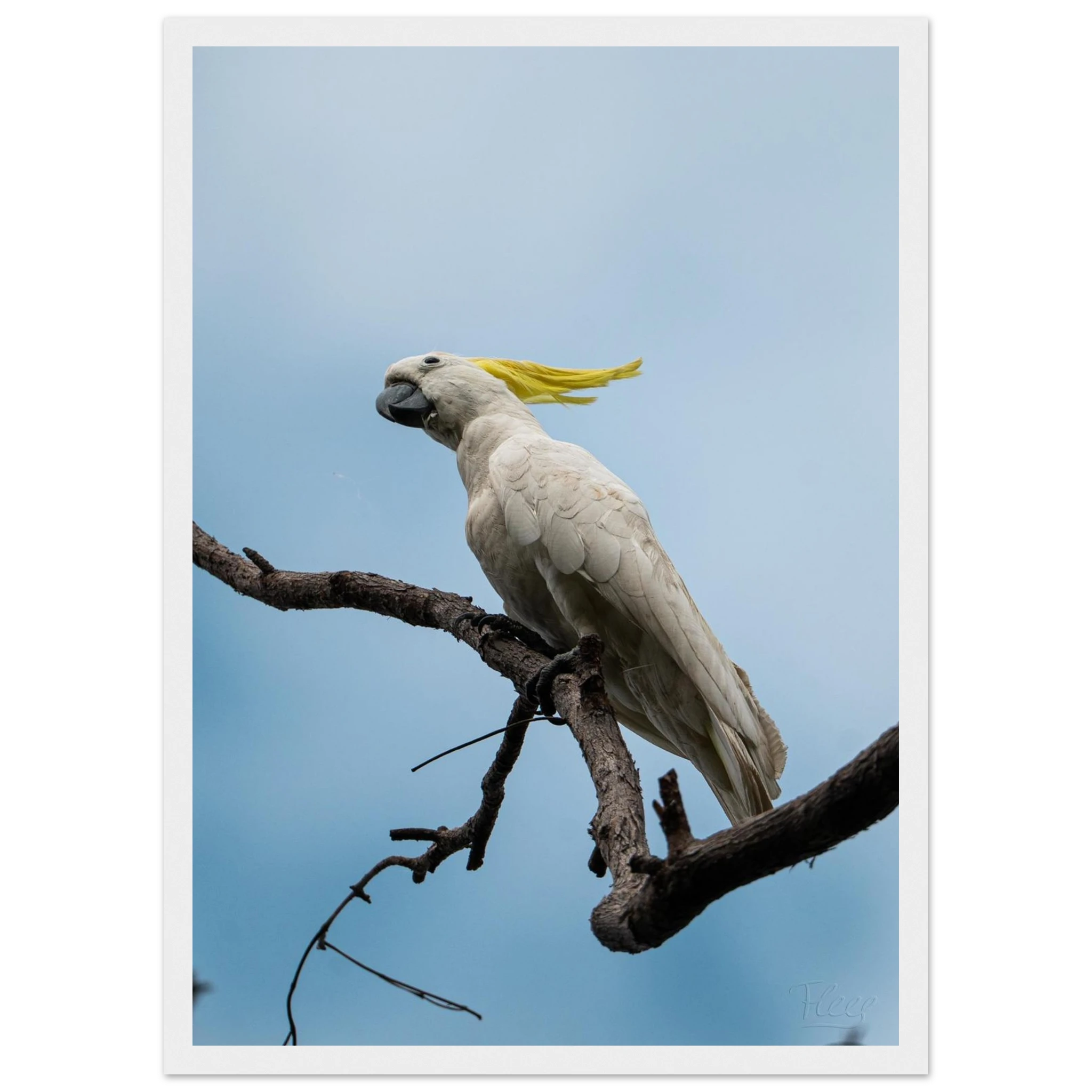 4baedaa0-ec62-4309-8bfd-21fbb3447ebd