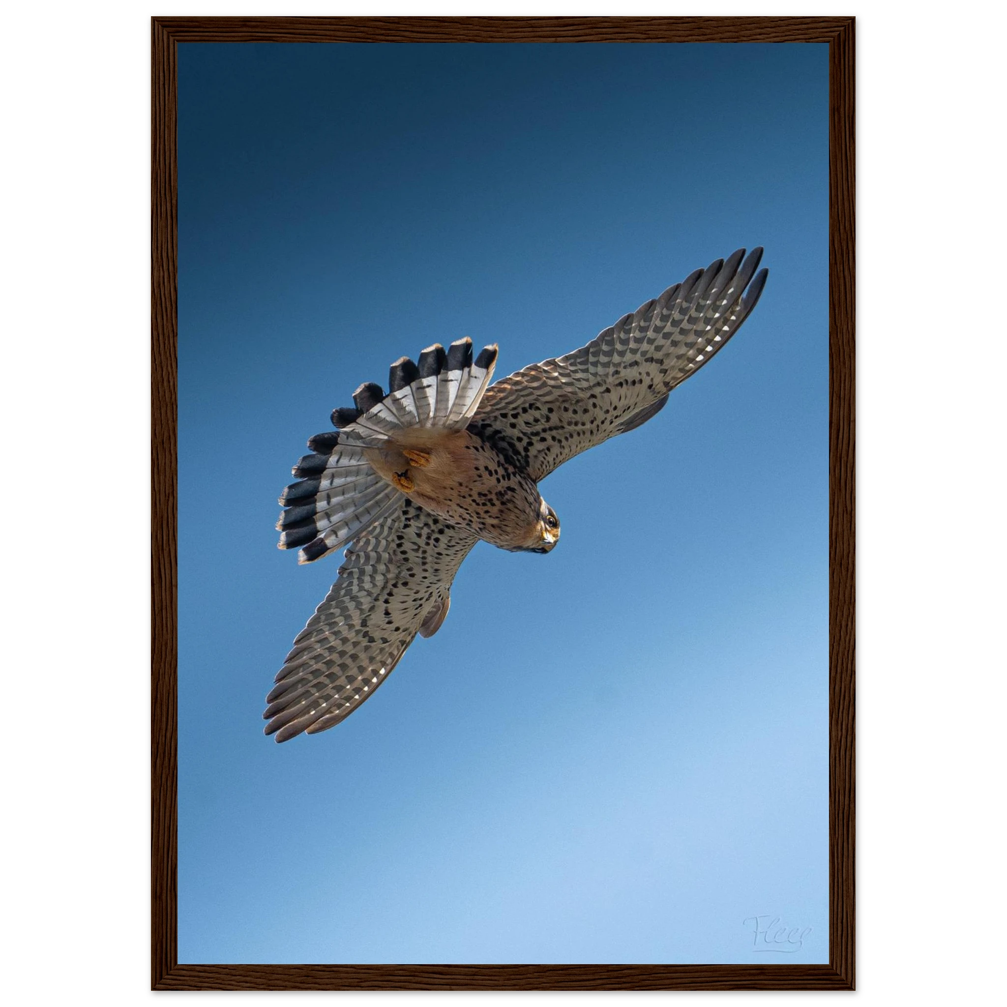 4c1ae622-4986-4c7c-a374-dfad57d2d7f0