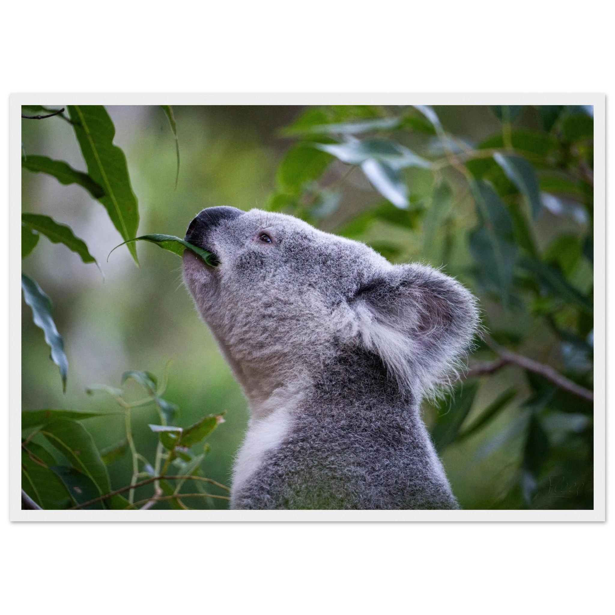 4c369f33-95db-4f16-bba8-488aea588636