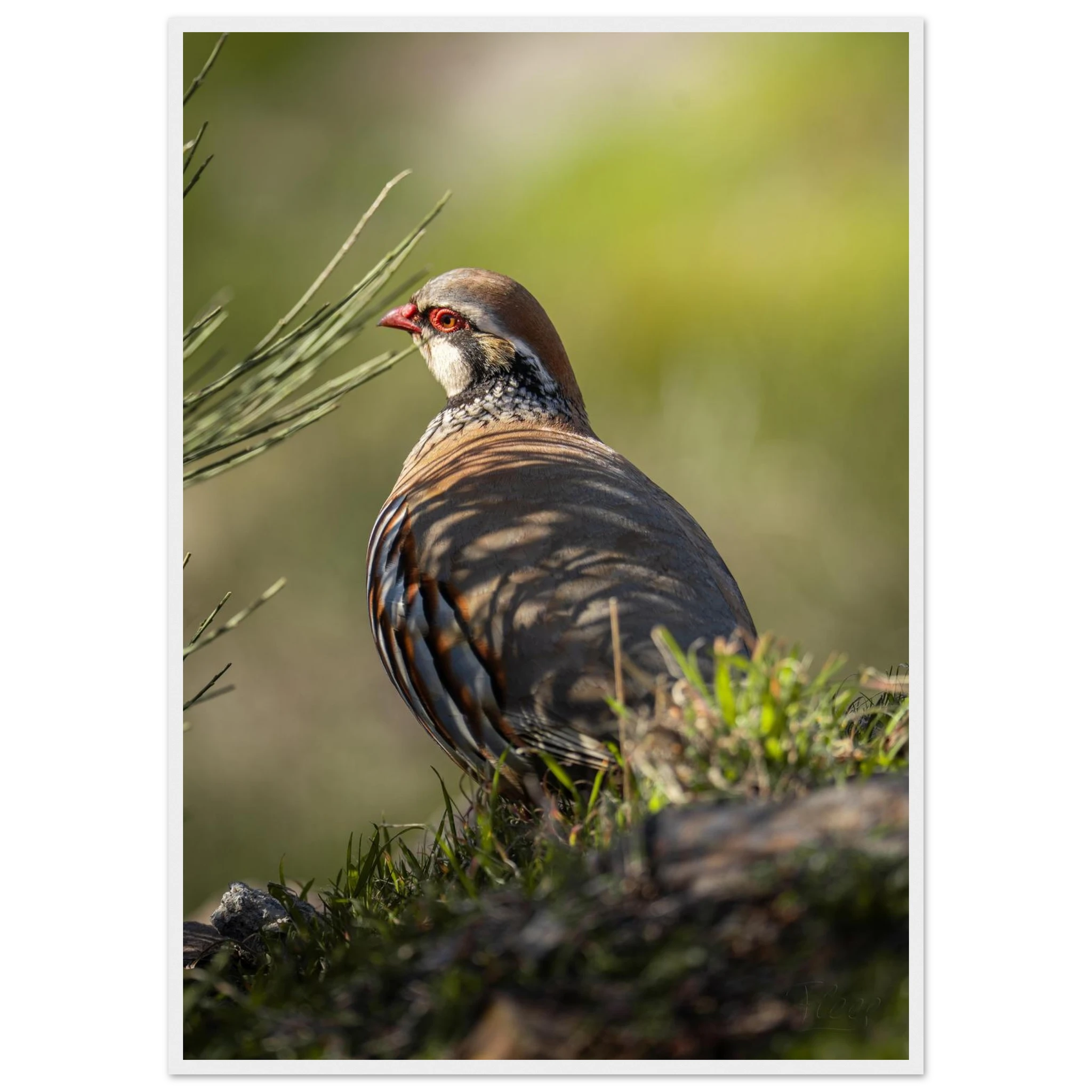 4c8d0a55-2680-4a7a-8403-3dfb2ddbeaa1