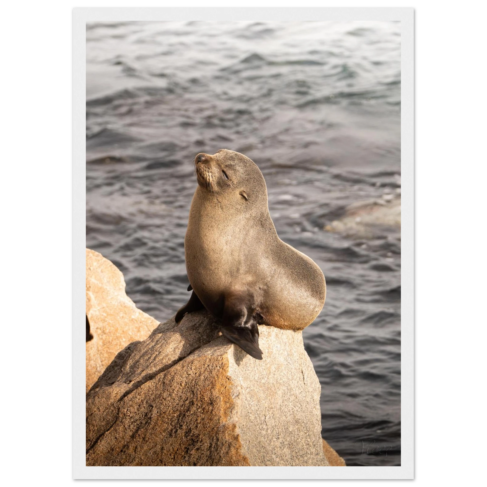 4cd000e9-87ea-45be-8c81-9a3a8fd0a55d