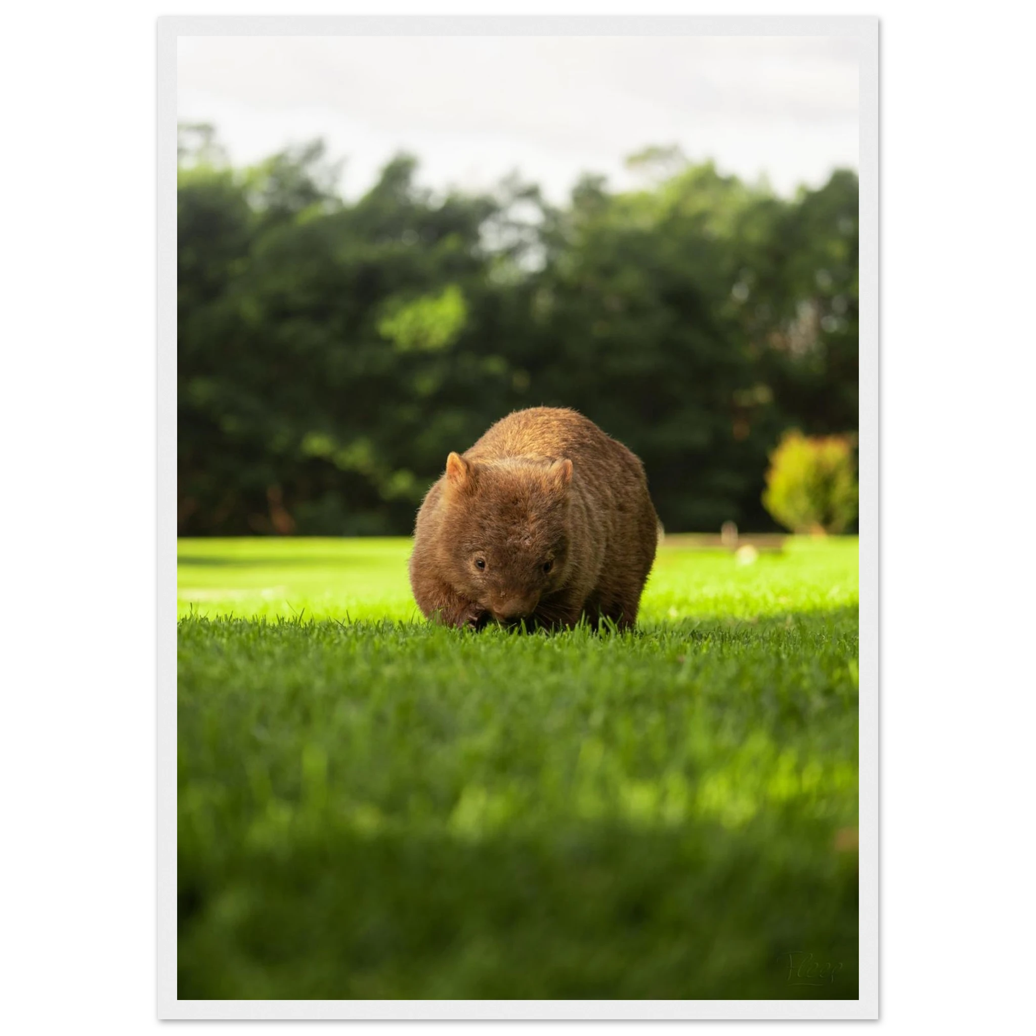 4ce1f216-c579-490c-bae2-06f70892d73a