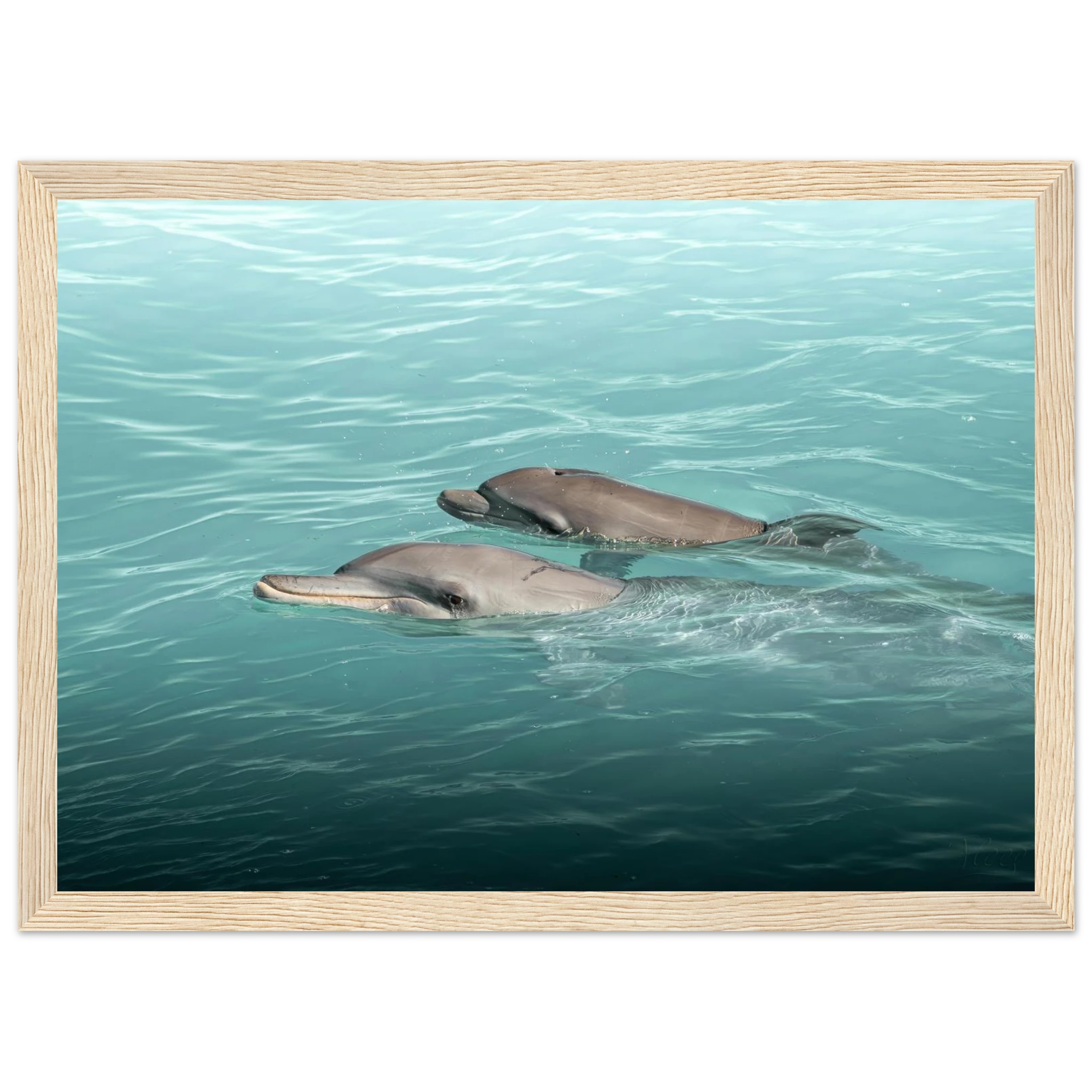 4cf22edc-b2d2-47d2-b74c-df13344418f5