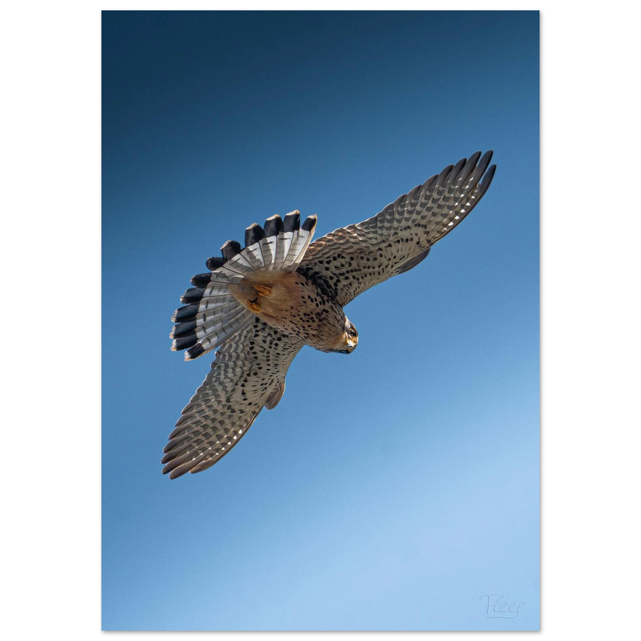 4cf78c24-17c0-4141-8dcc-a6ea46bd88f1