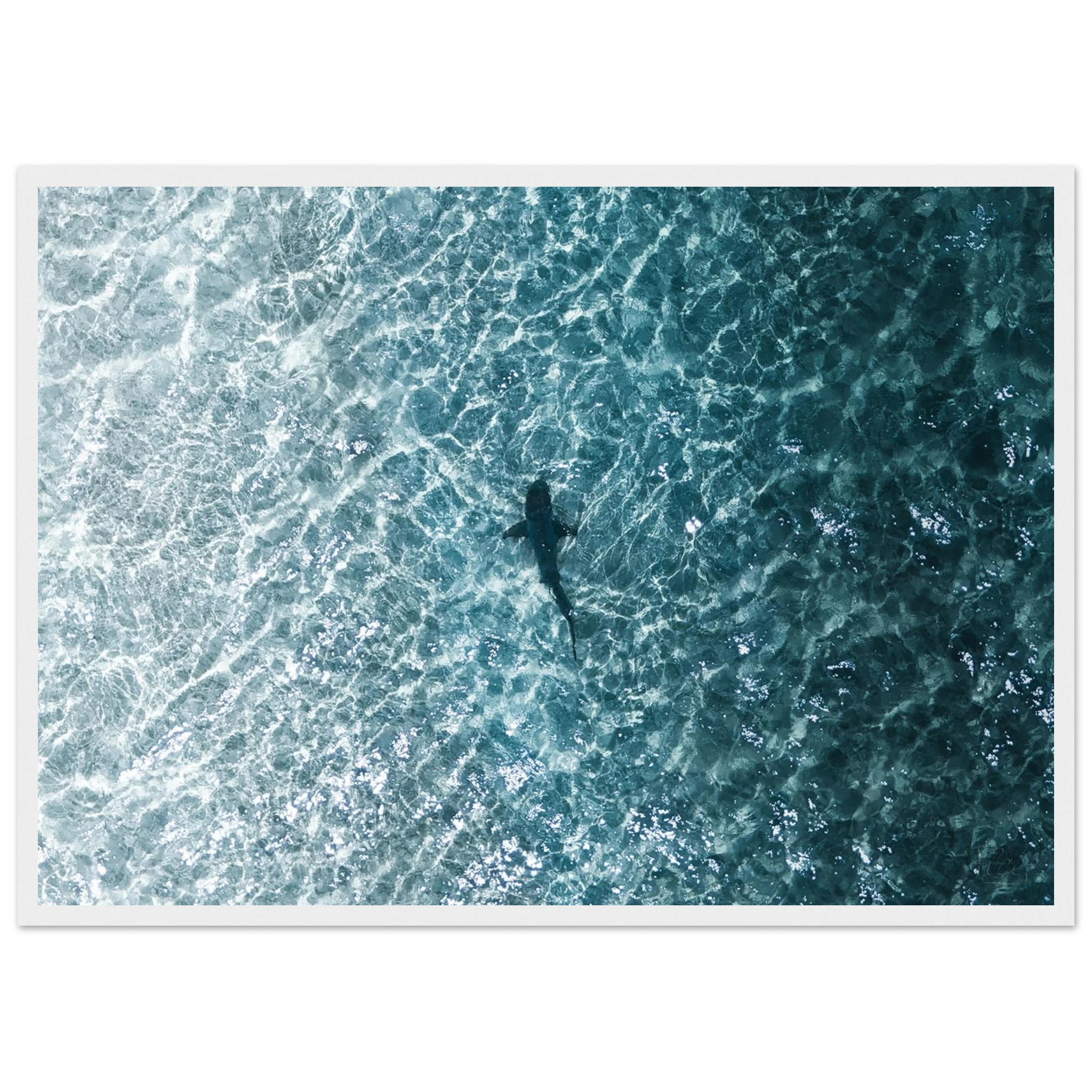 4d3d242a-eb24-4b28-b8d9-8d74eff29931