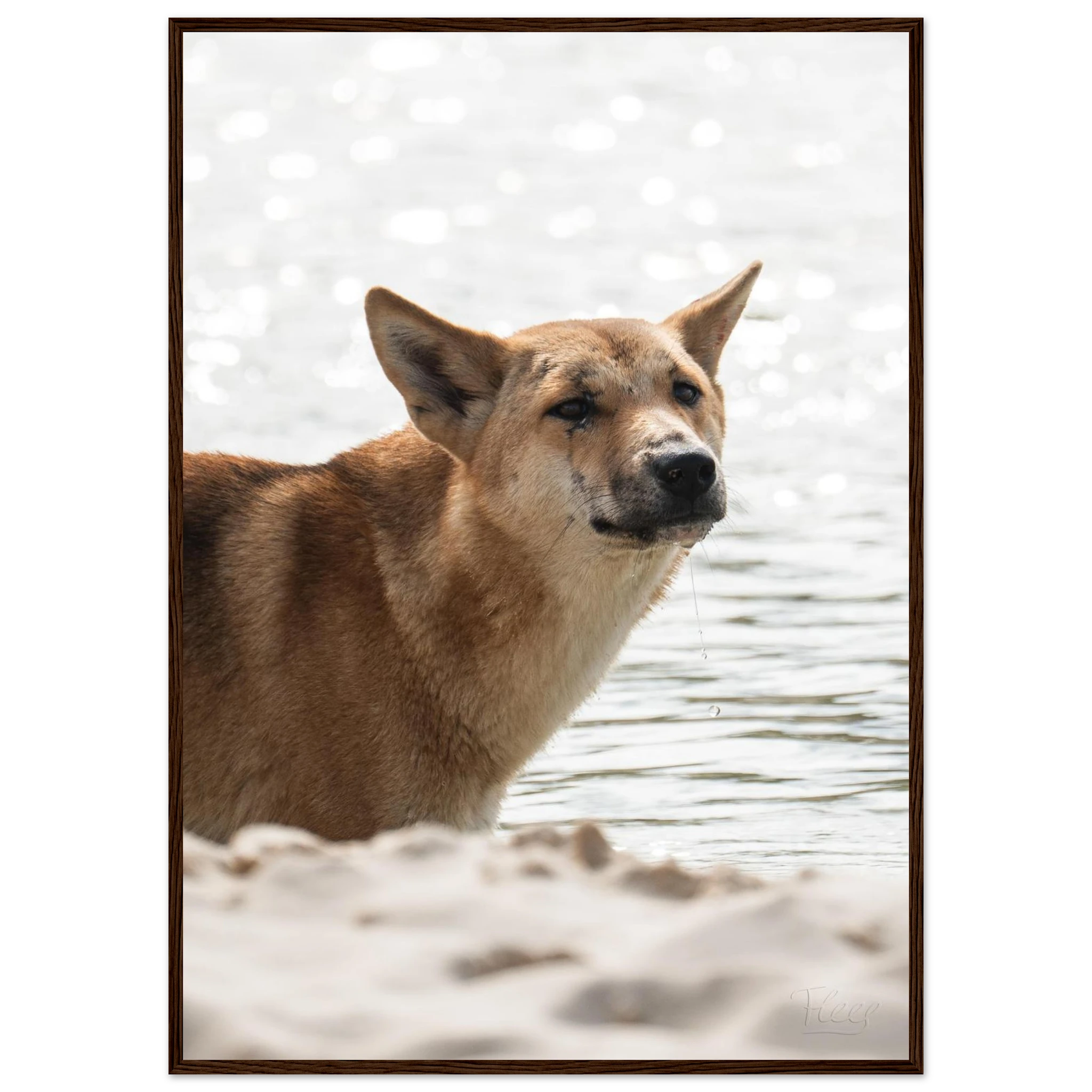 4d40d30b-e3c3-4a98-915e-134c57b23e8a