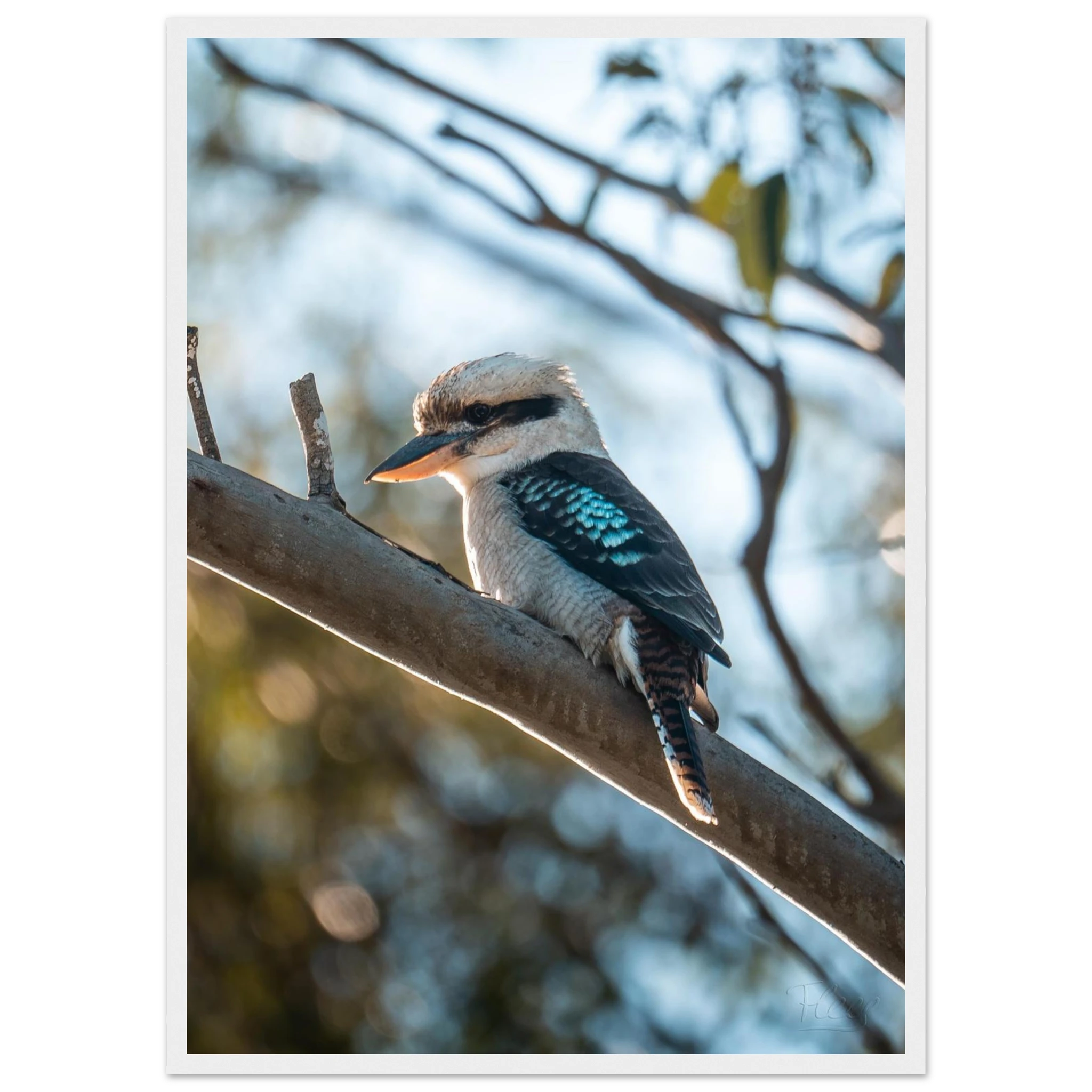 4d5d29a9-2e6a-4e6f-96d3-3b5465c48ab1