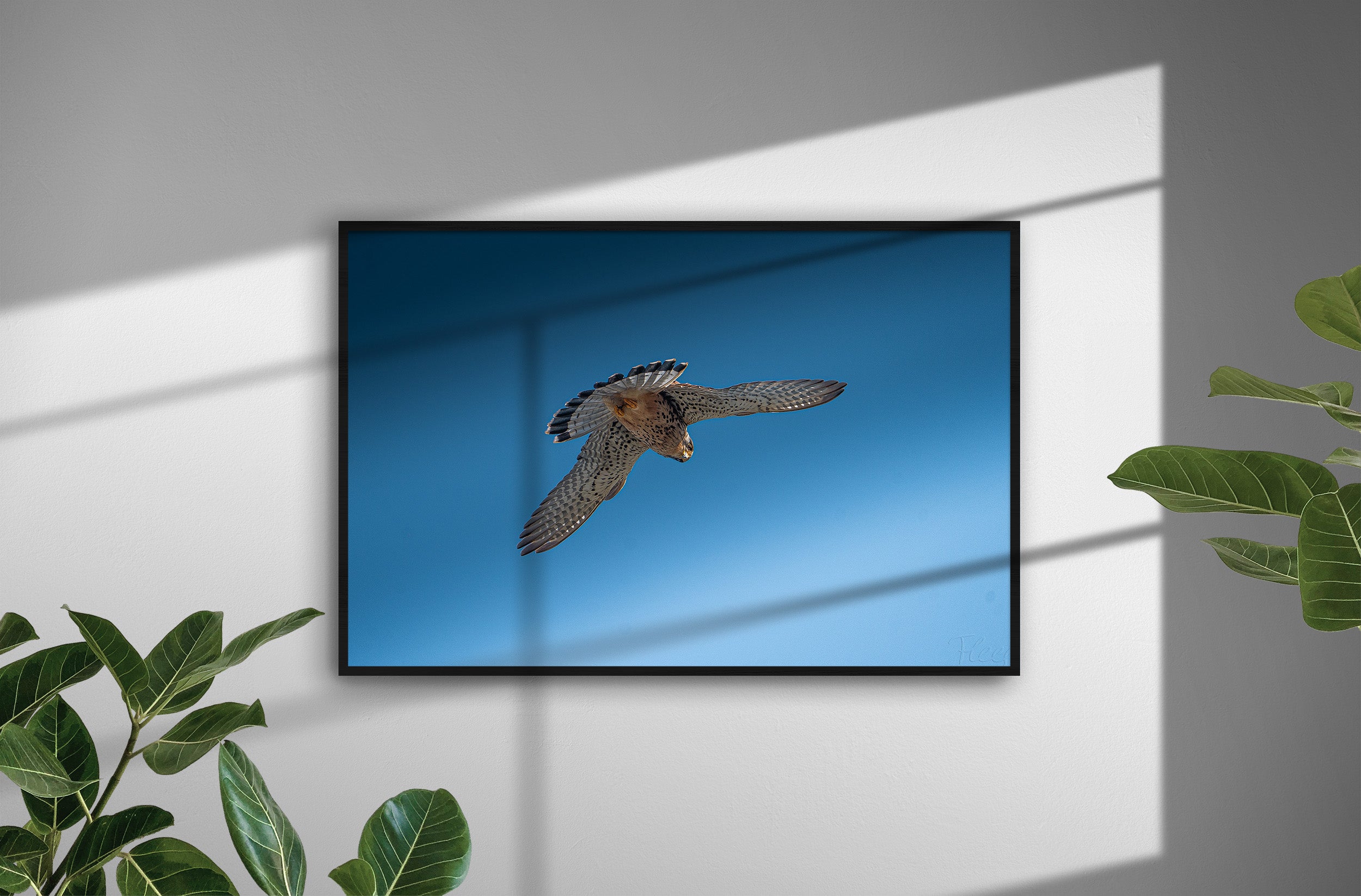 4e2aacdc-30bd-4bba-ac13-94e4fbb0b3c9