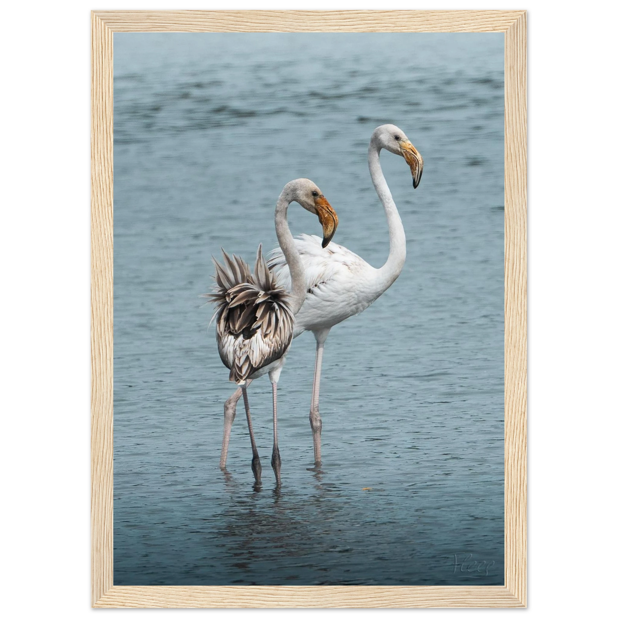 4e858a75-5a19-4e86-a5eb-6c2e9f479273