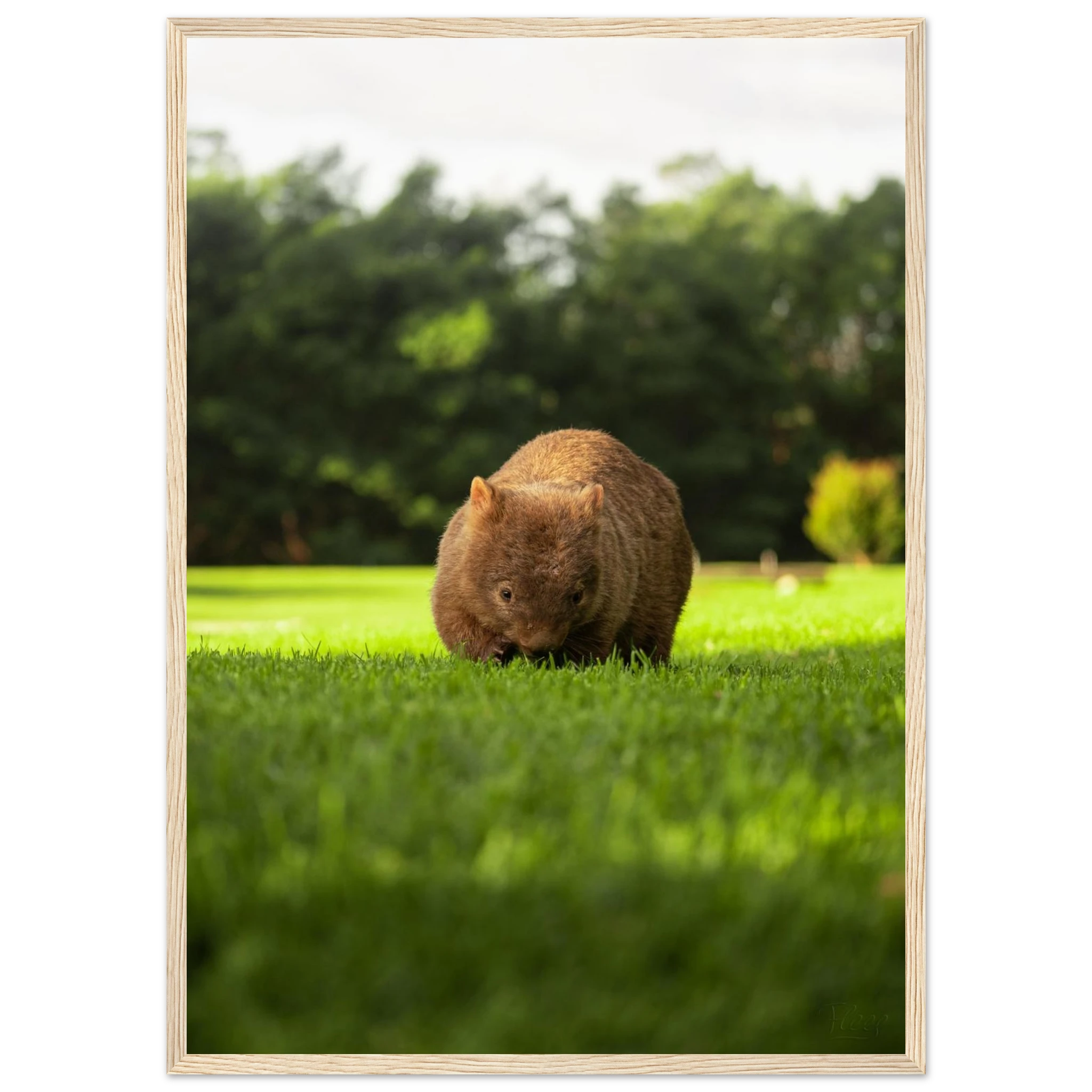 4ee96aff-d959-4ba1-8ece-3f61411029f0