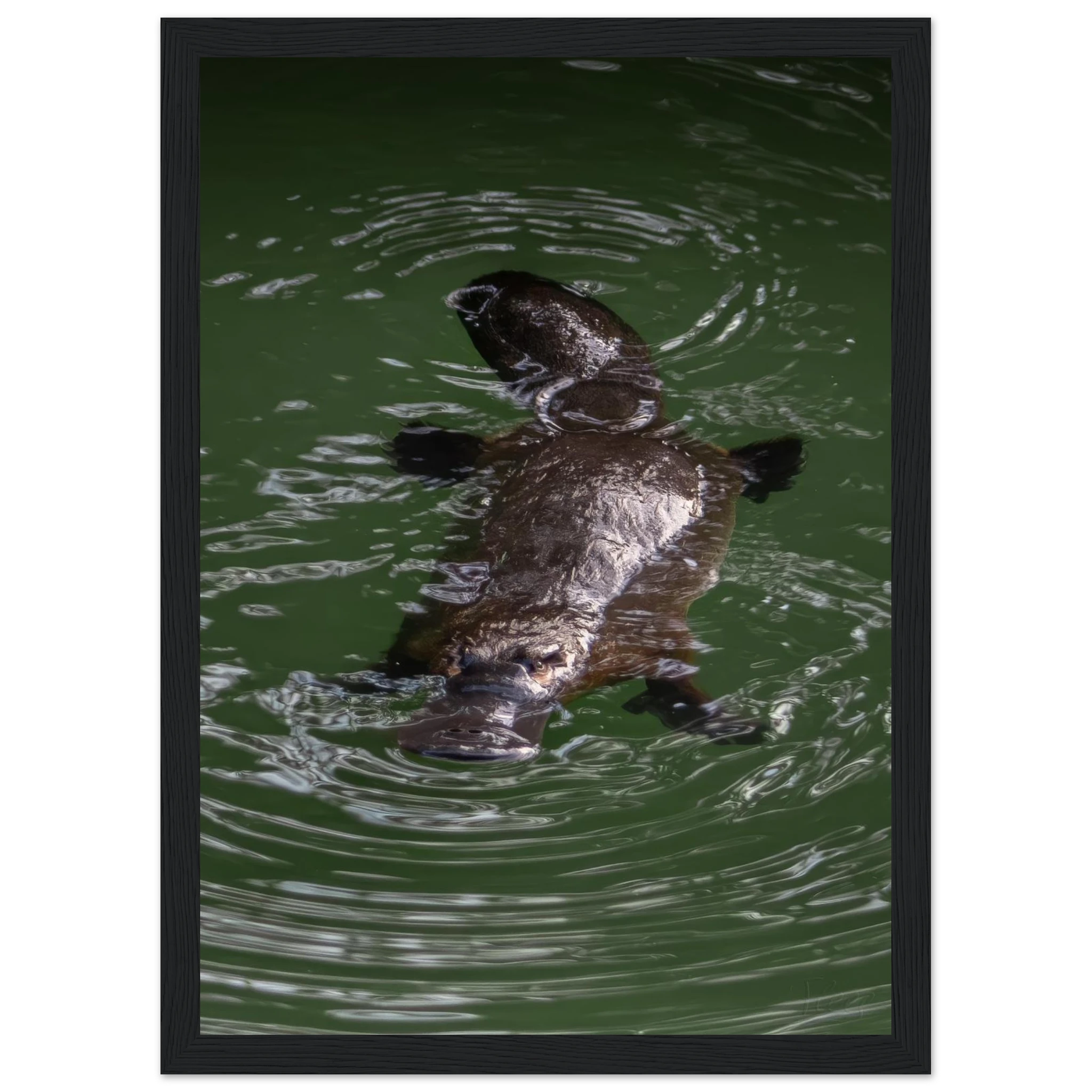 4f8a1c0d-af55-458a-824d-0b2318502a6f