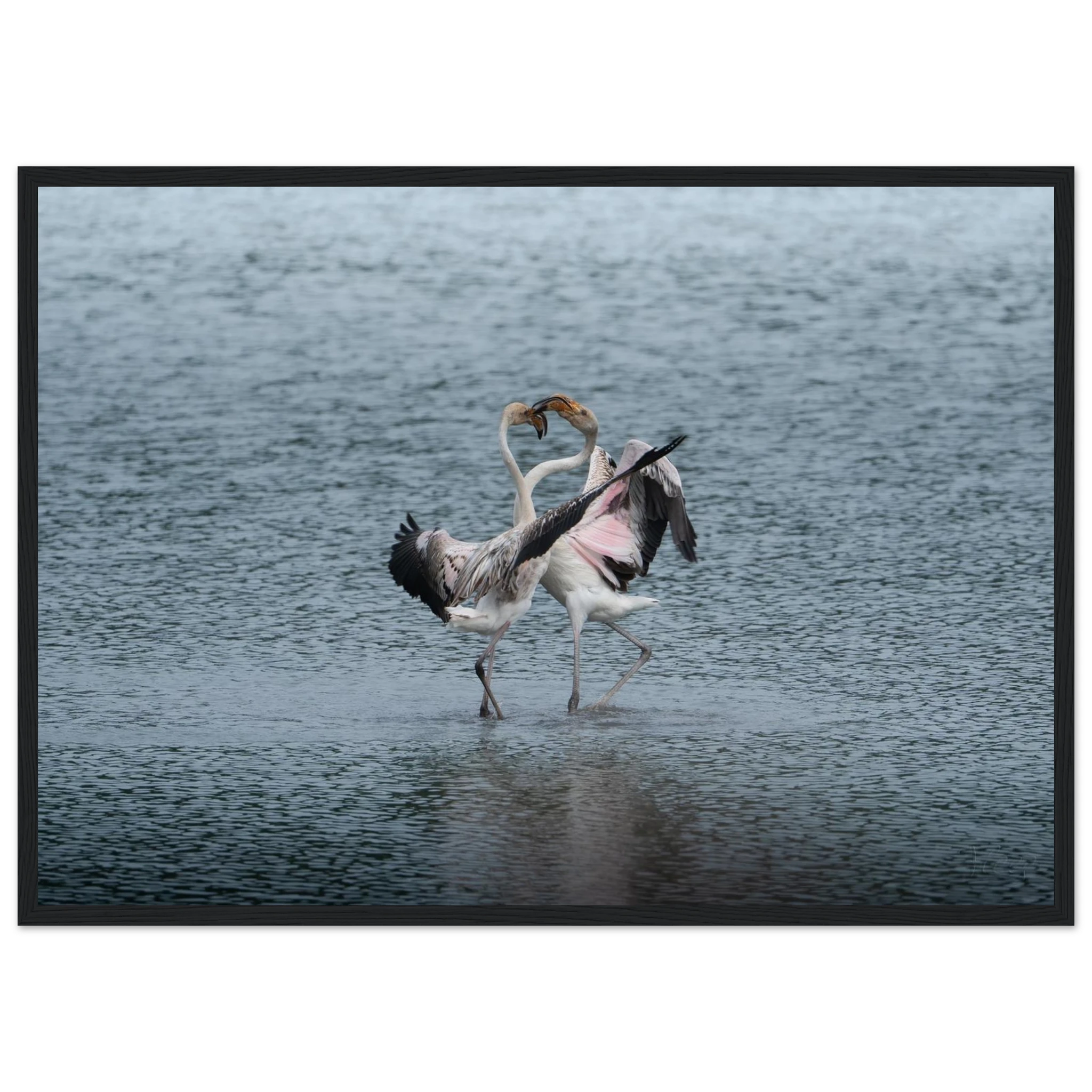 4fc280bf-028b-422a-8be4-2e7ee11472bd