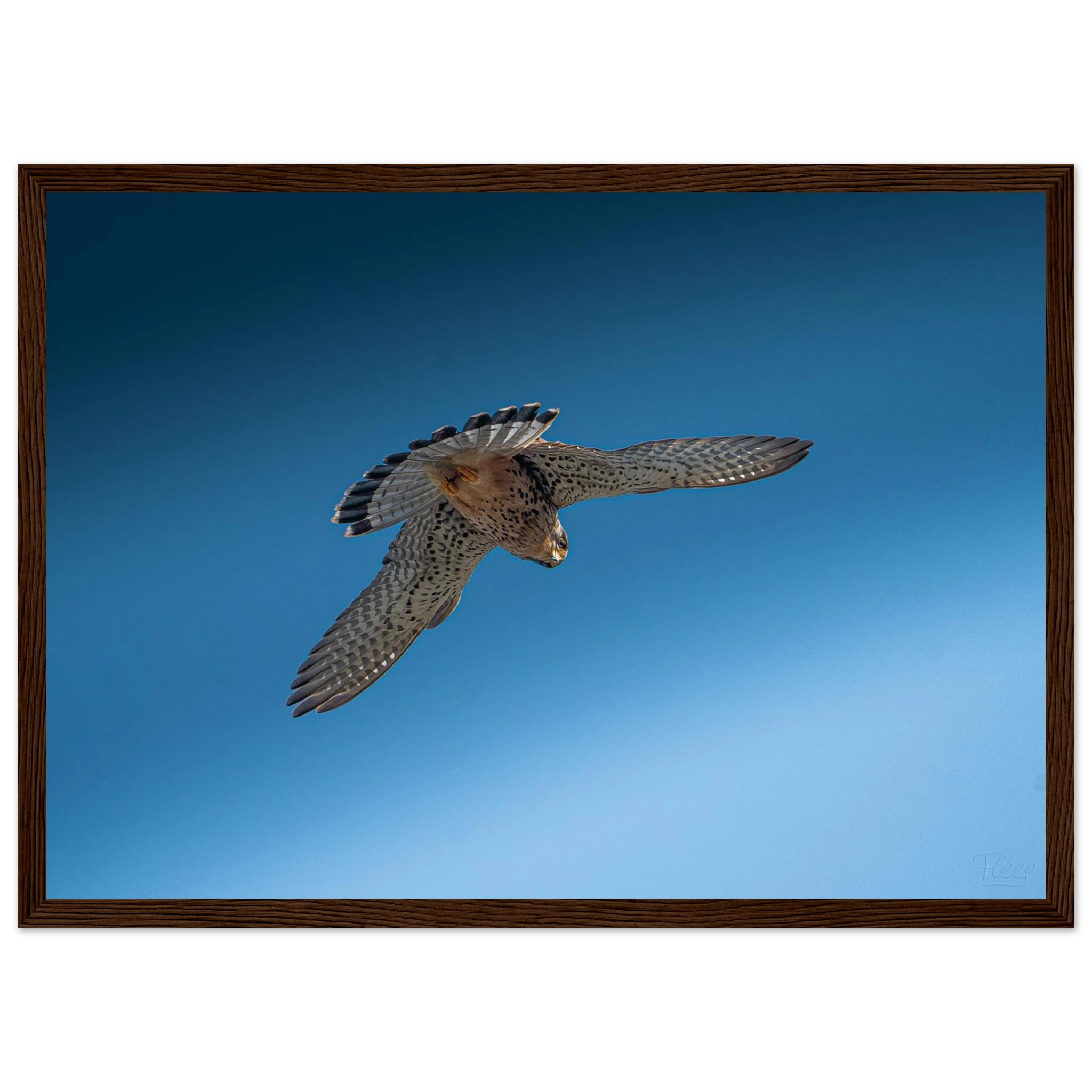 4fd7f972-5d2f-4e9d-8860-c2ce7147315c