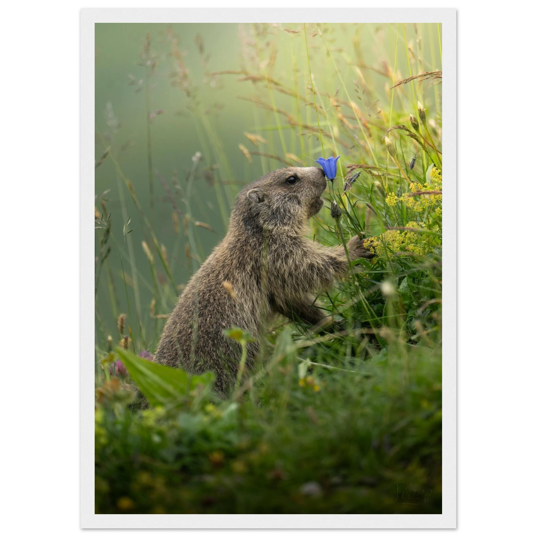 4fe5a53f-f1a3-47e5-b098-40ba6d231b39