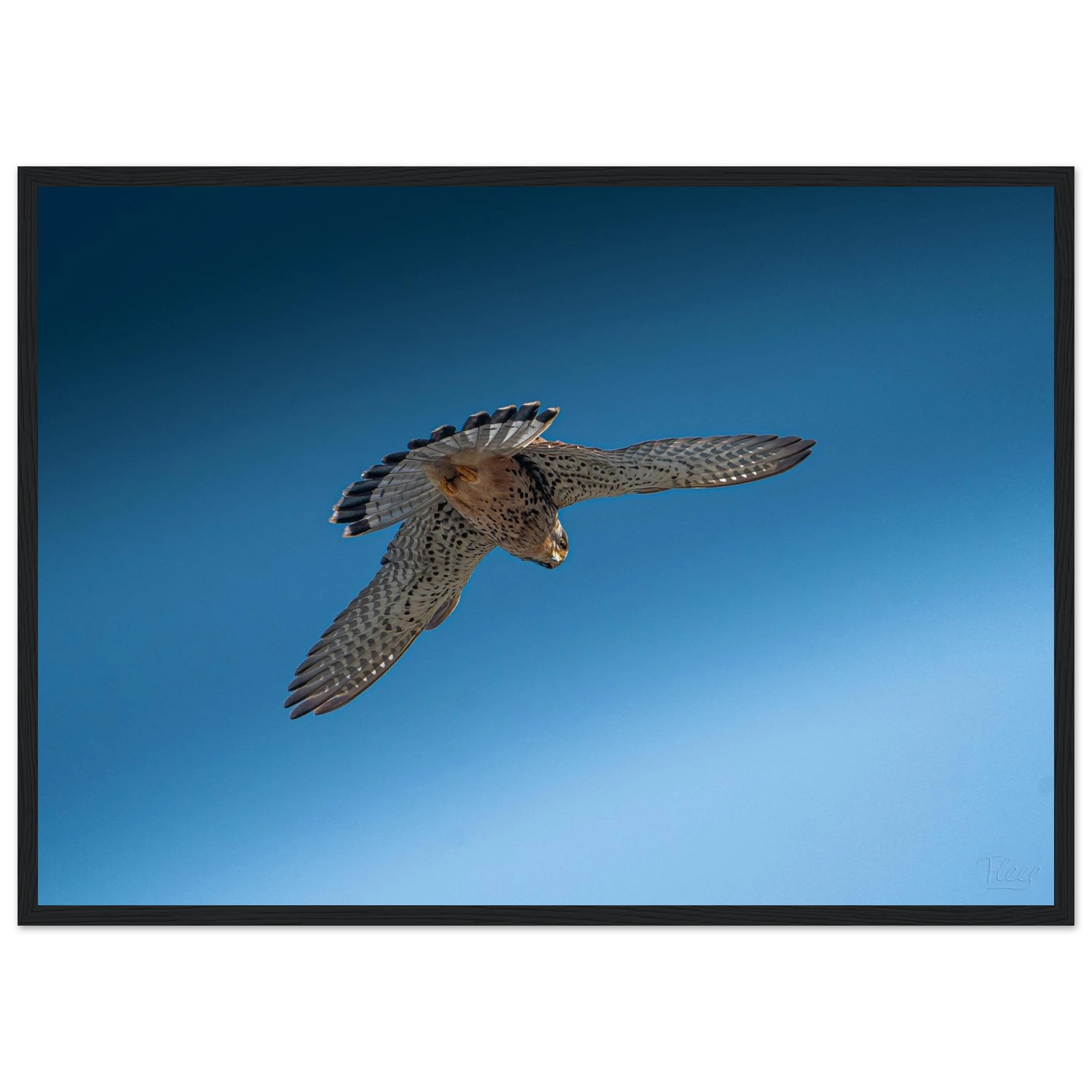 505d2cd4-6c61-4964-8b9e-4de88499c115