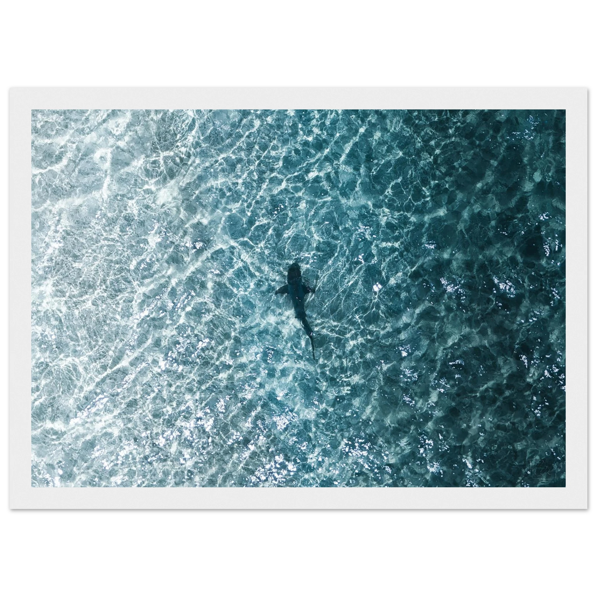 50b2aec7-7deb-4808-a4c7-deed9eb02bc2