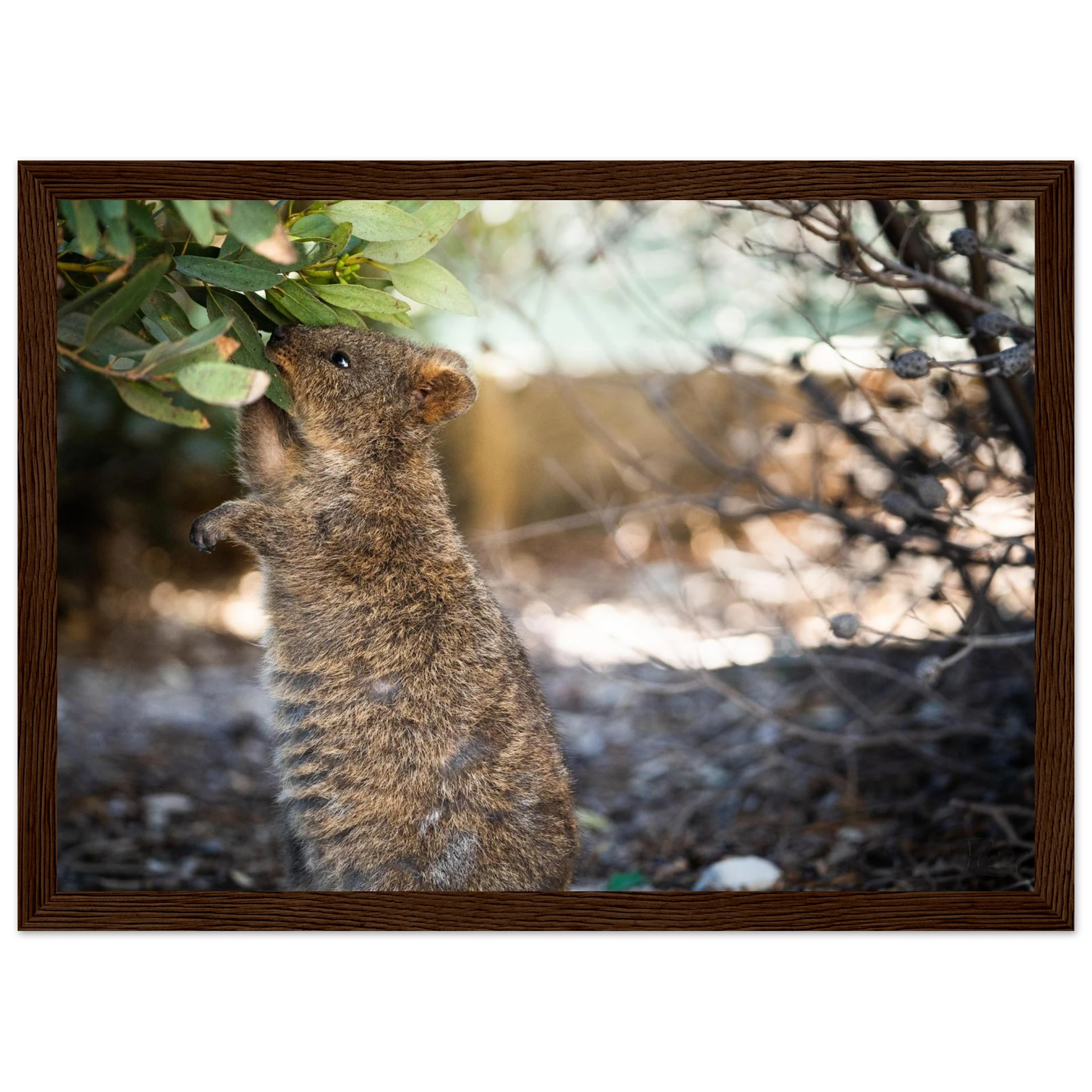 51270f70-8d6c-4cdc-9c54-0d99f5c416ec