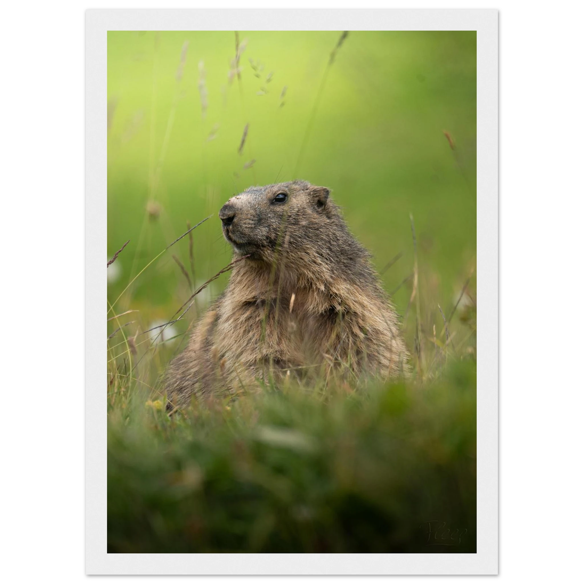 51a3db1d-303f-4e85-a56a-da912c3885a1