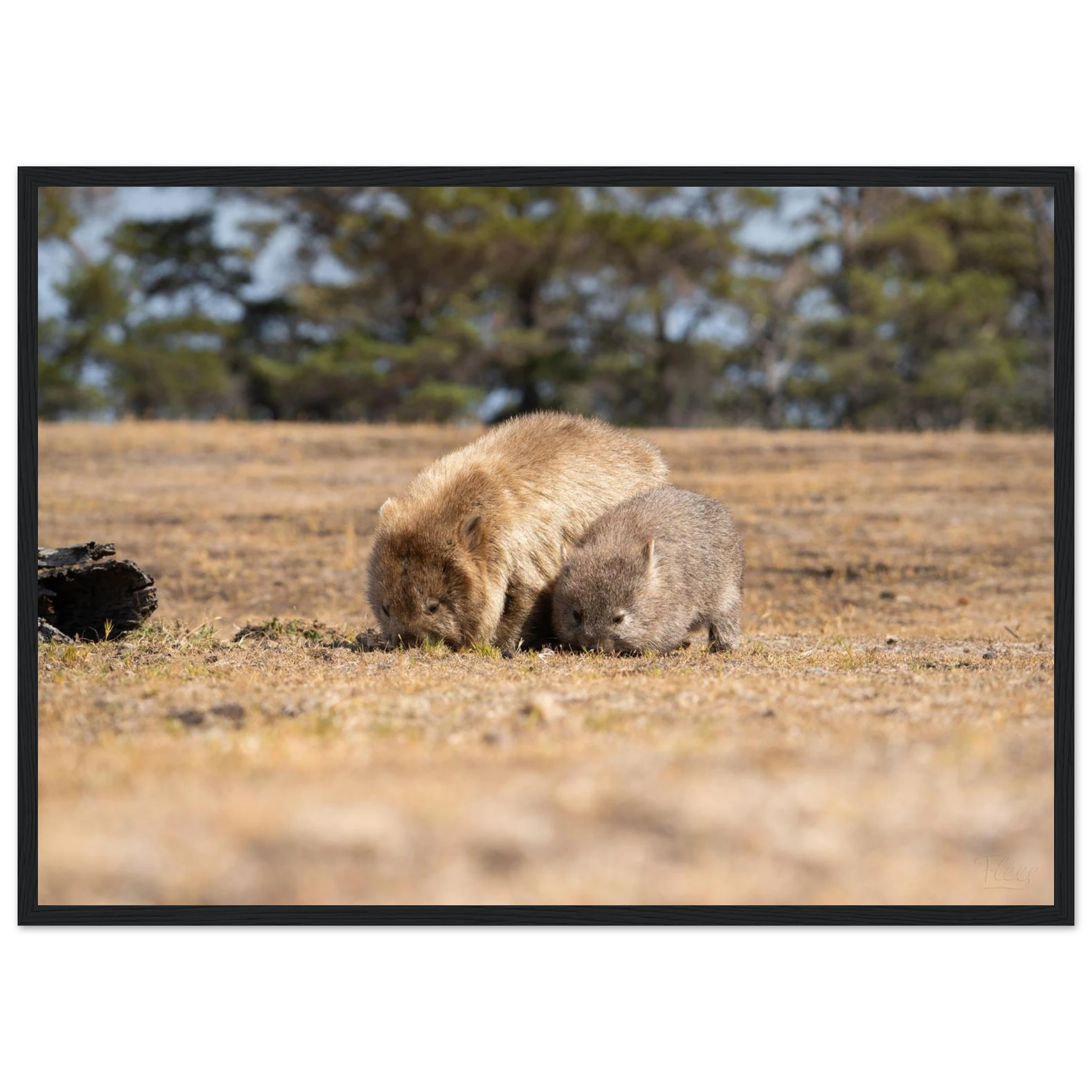 51a7e9f9-c86f-458e-92c2-e1fb279e8ce4