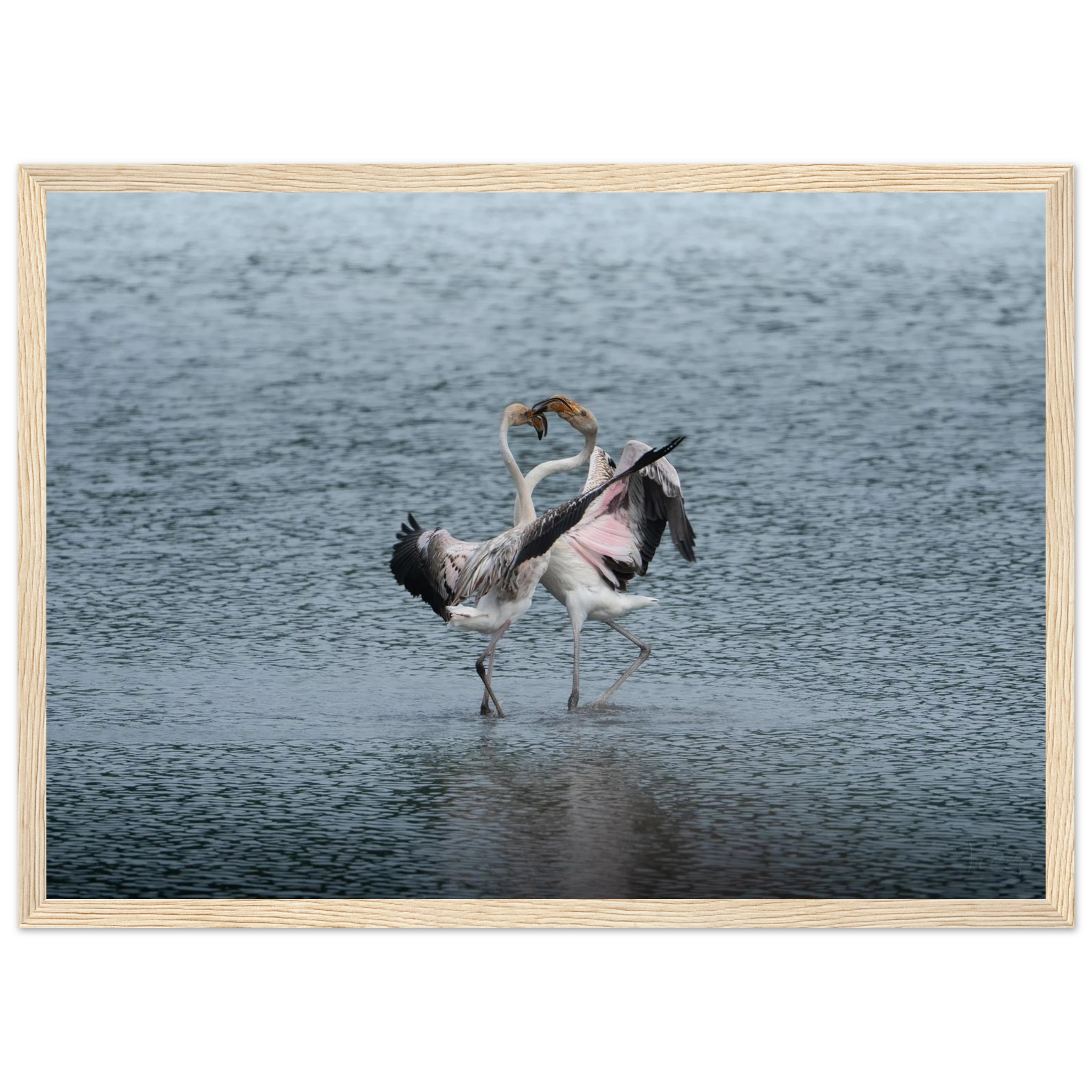 524aa325-6fb2-4354-bf93-df3d6004312c