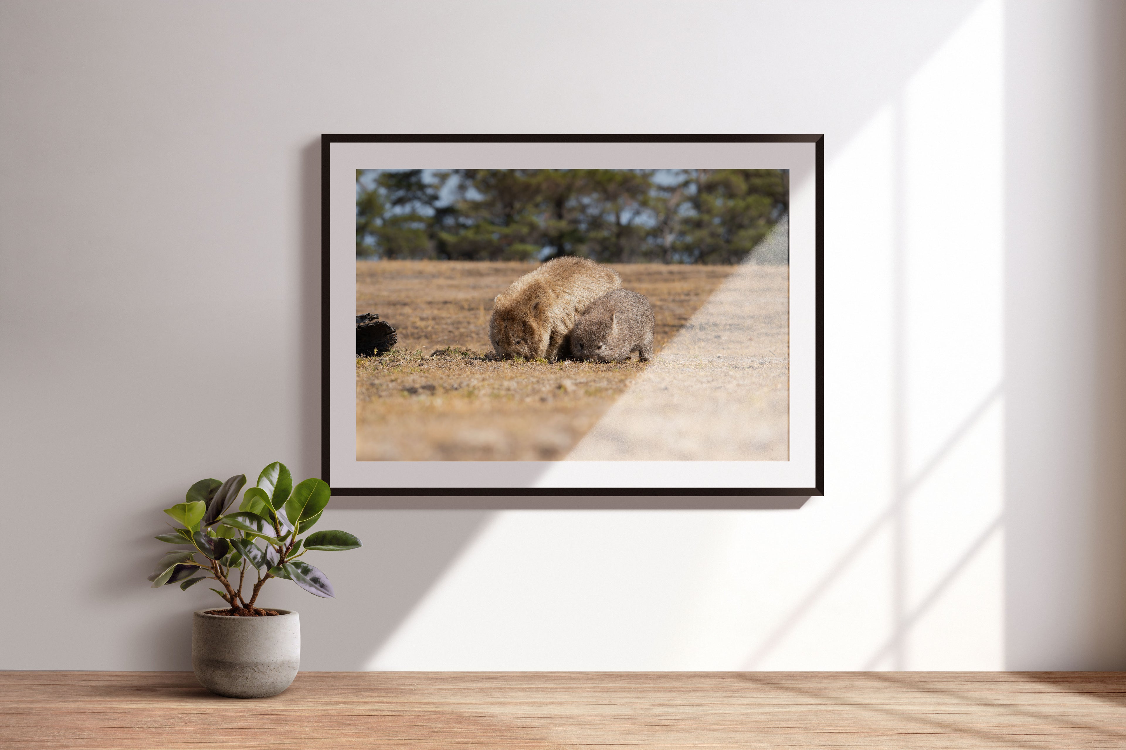 52cf216d-2b84-49d9-8ecf-60e4a382b98a