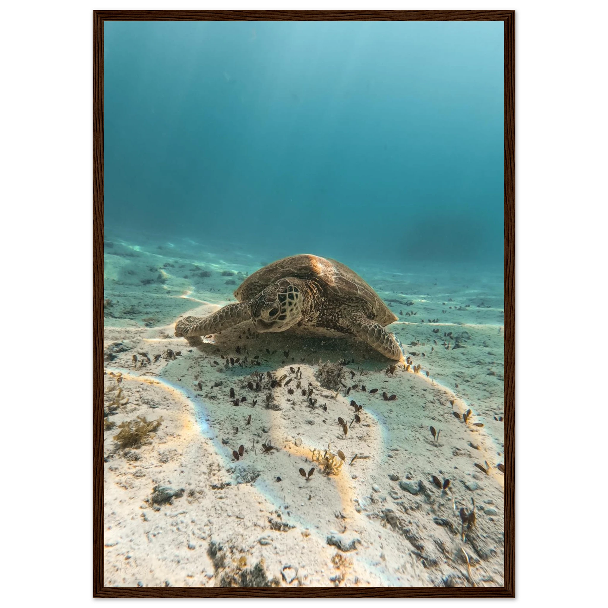 53544824-0fd4-4c1c-924c-c7225b64dd8a