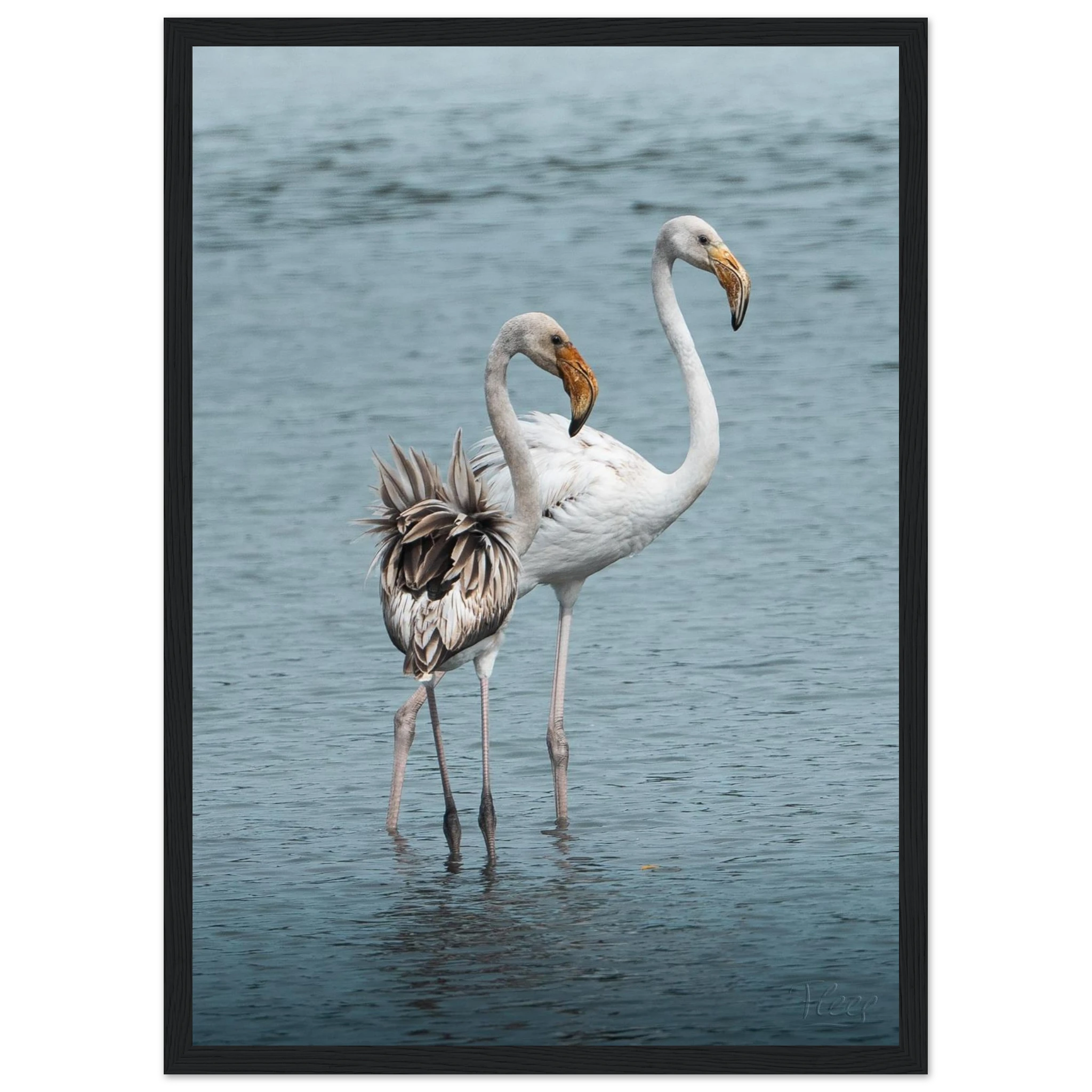 53955a7f-2eea-4fc7-be96-830bbad17008