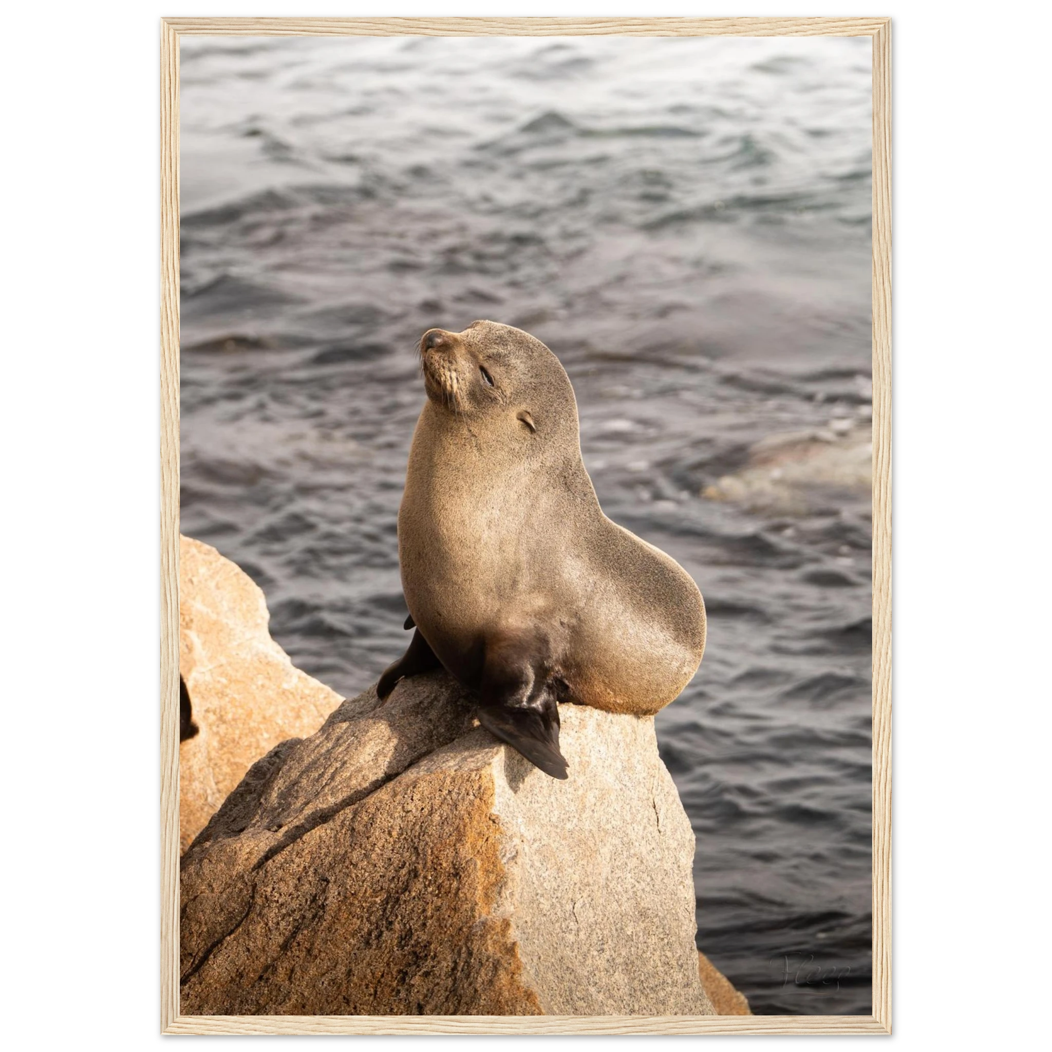 53b39aca-56c0-4a1a-a95f-a9596e929333