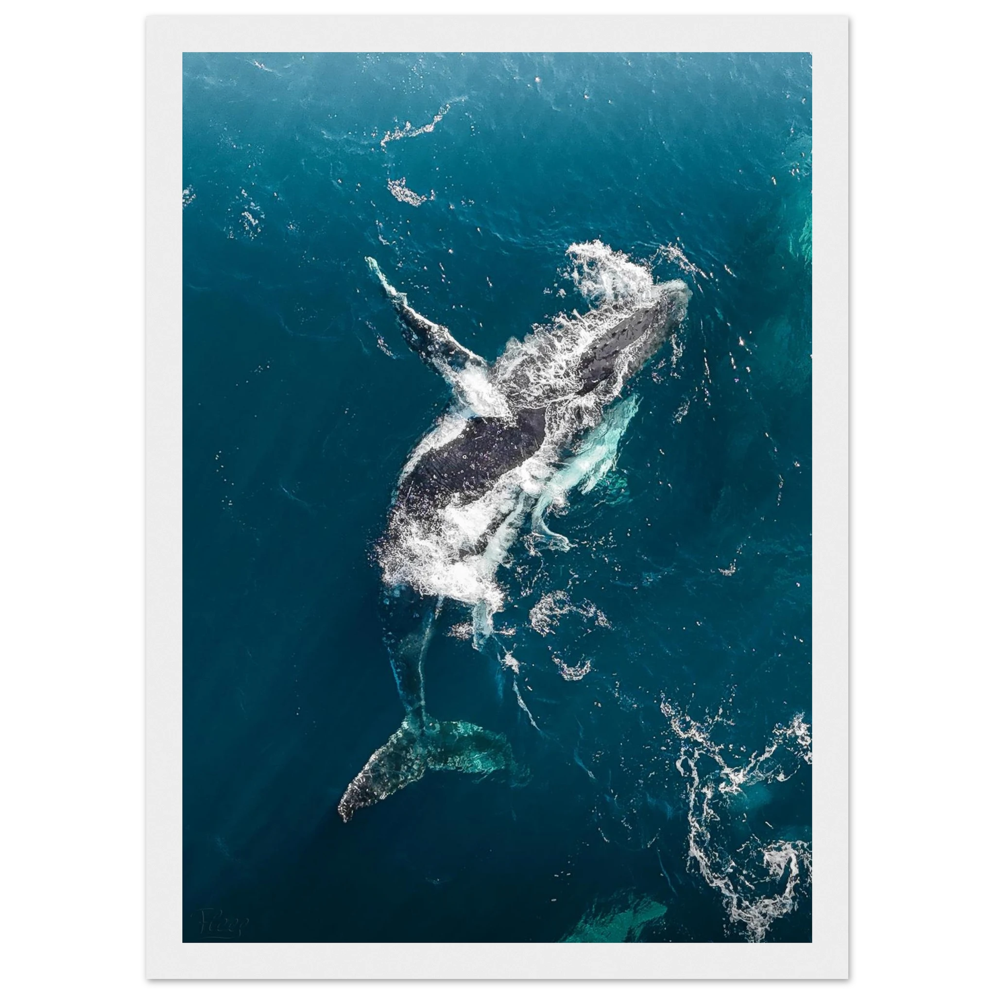 53c53eab-1232-44e3-a0d6-523168d5be17